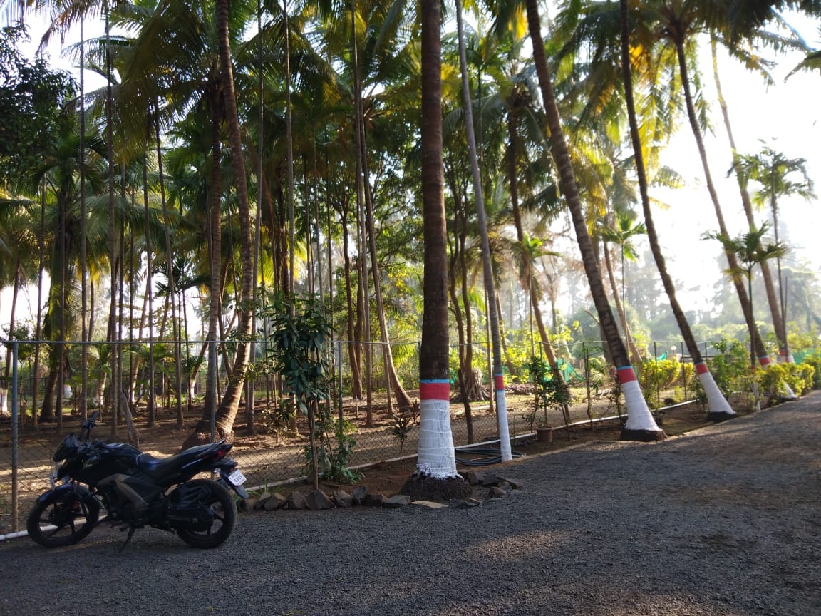 Resort with a difference at Akshi beach 4 bedroom