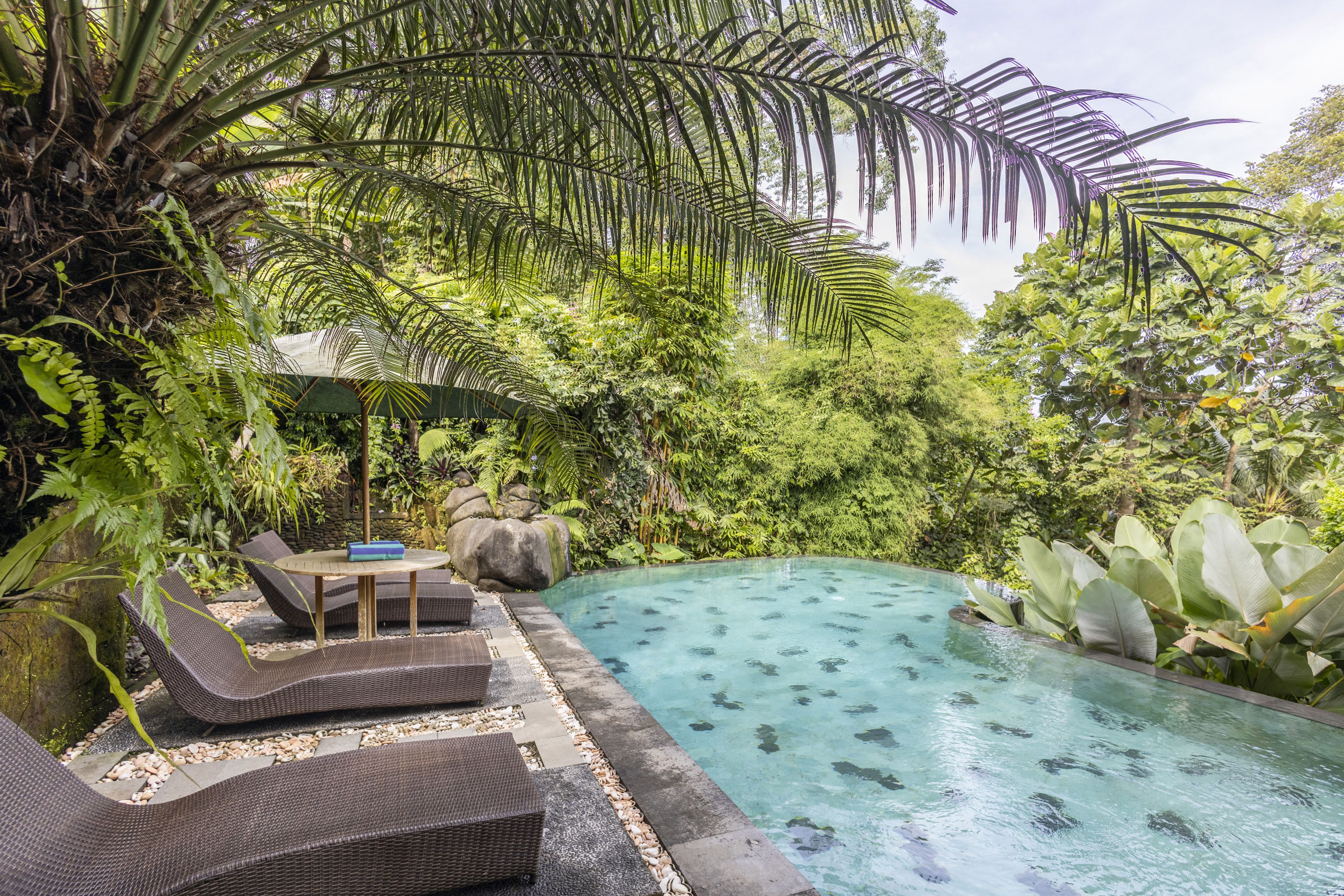 #5 Cozy B&B  with jungle view and The Her