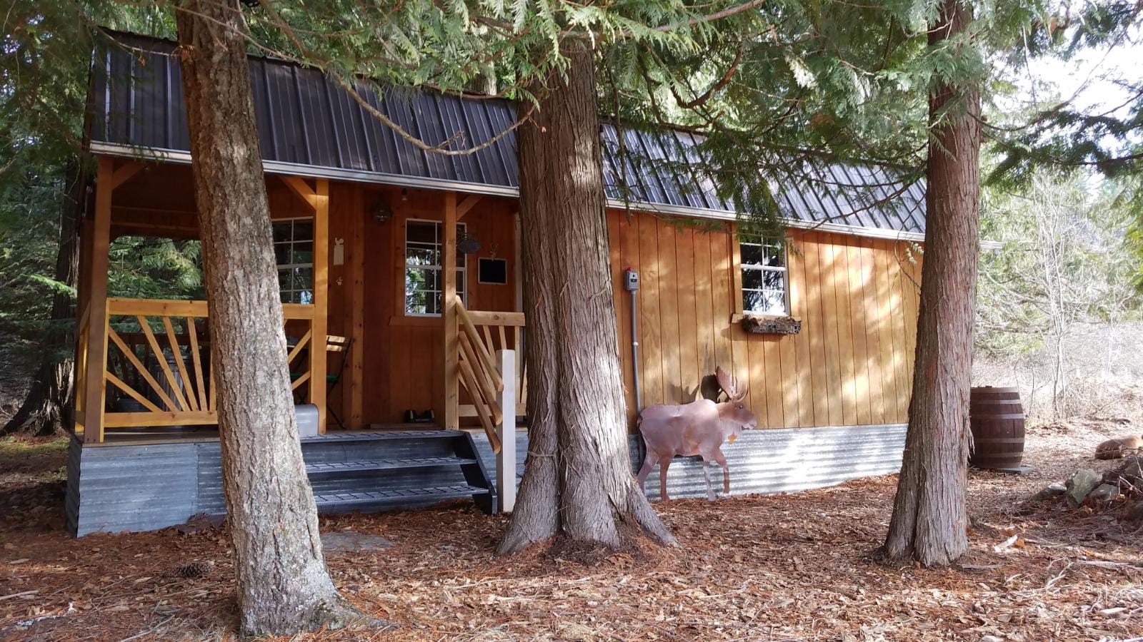 Cabin in the Cedars.Close to Lake,Town & Mountain Cabins for Rent in