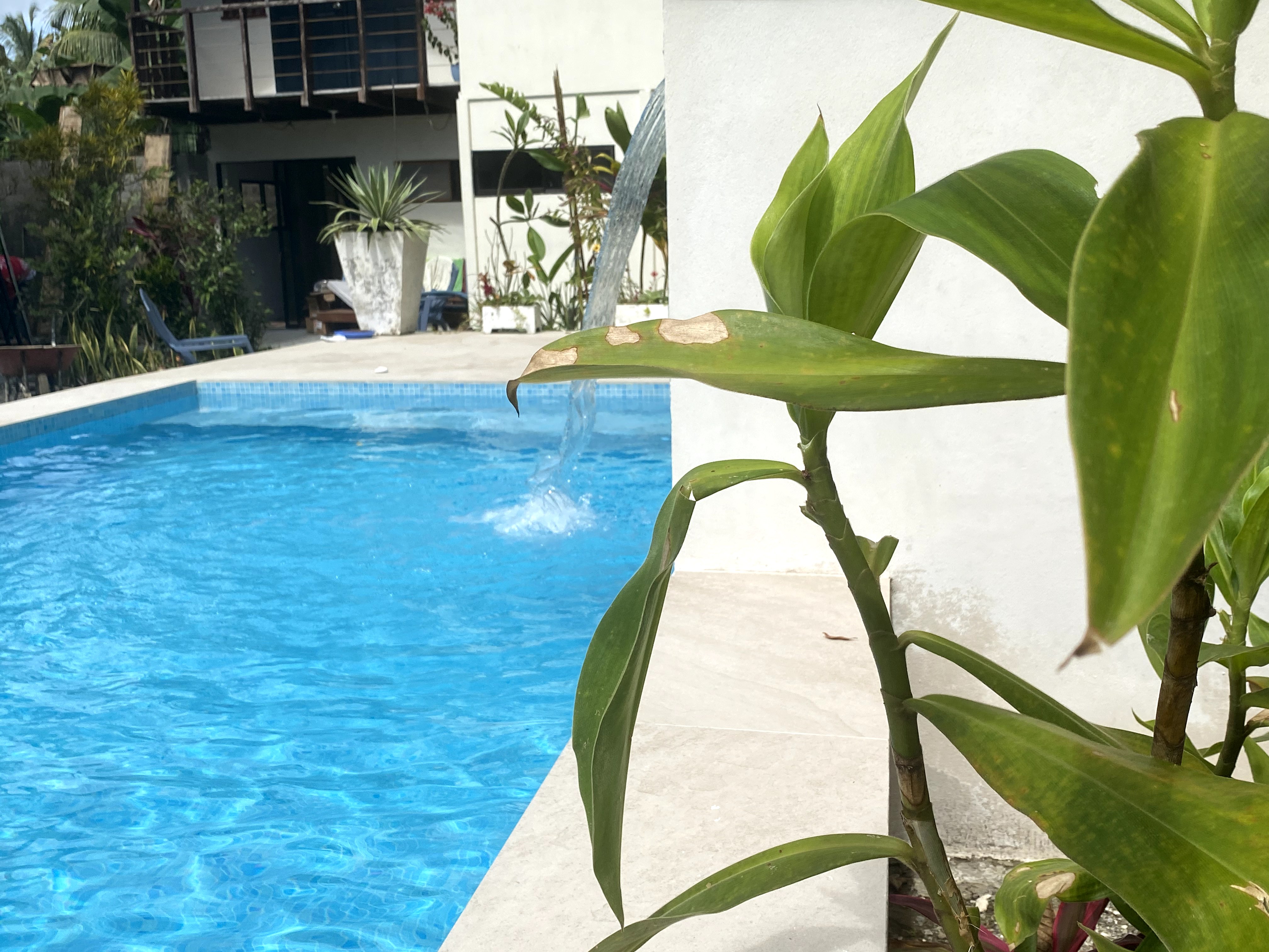 Casita Dulce: Coastal Comfort, Pool, & Beach