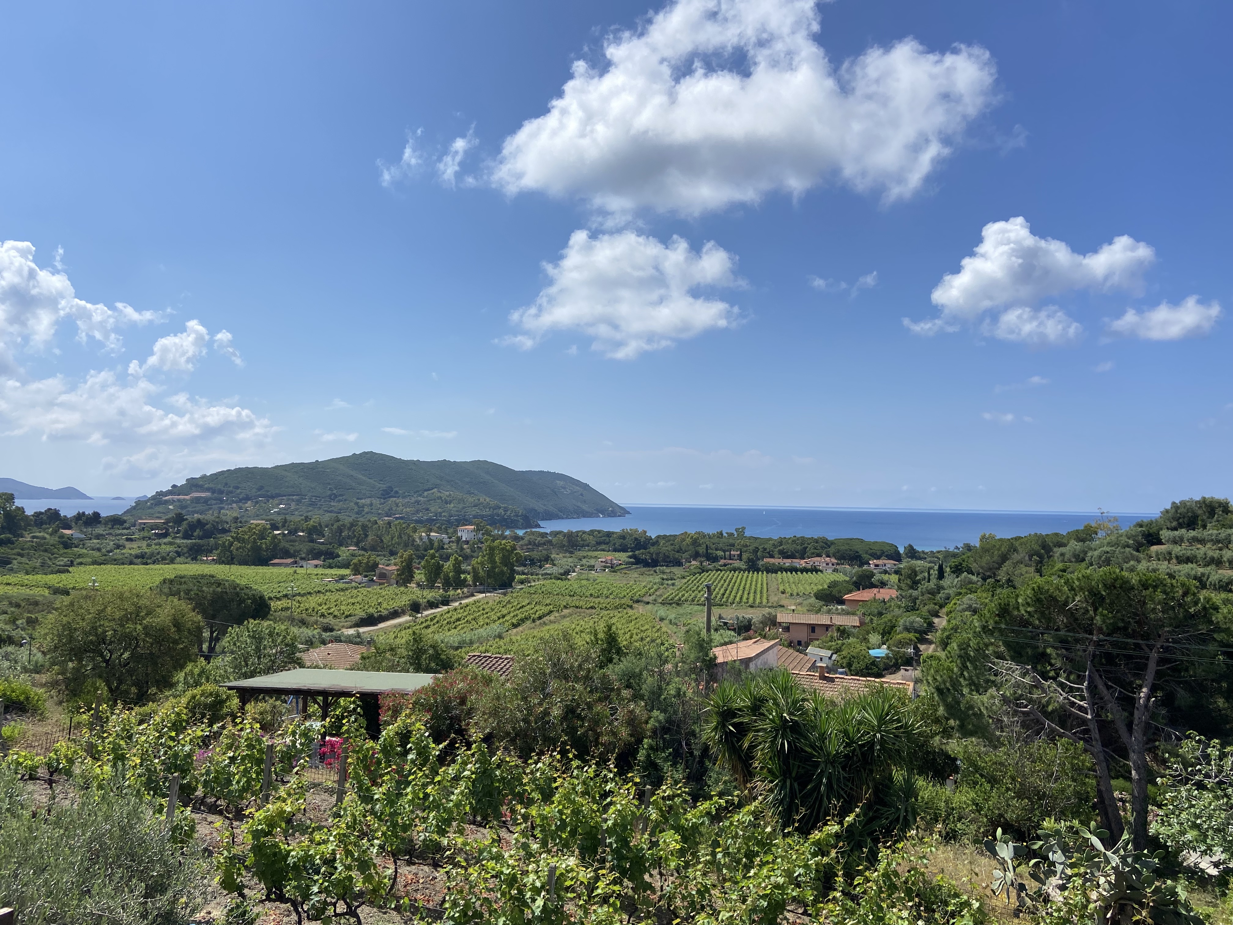 2 bedroom apartment w garden, porch & amazing view