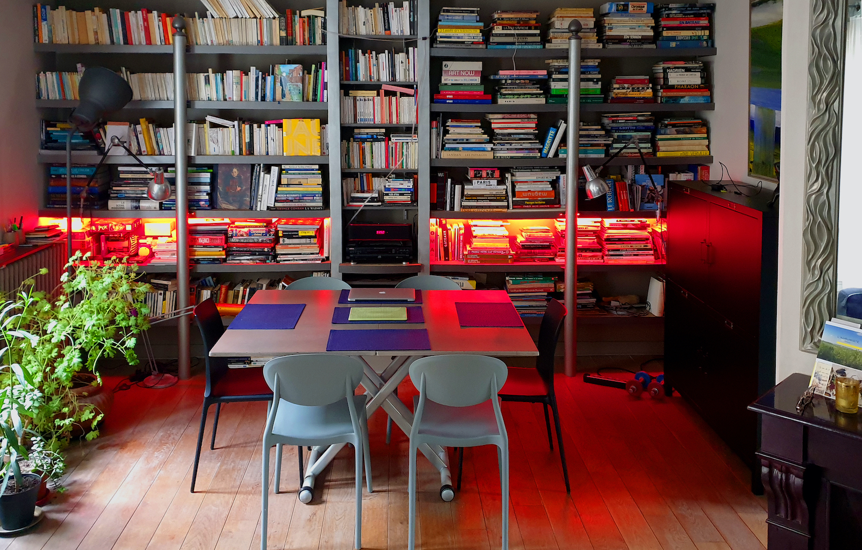 Une chambre sous les toits de Paris