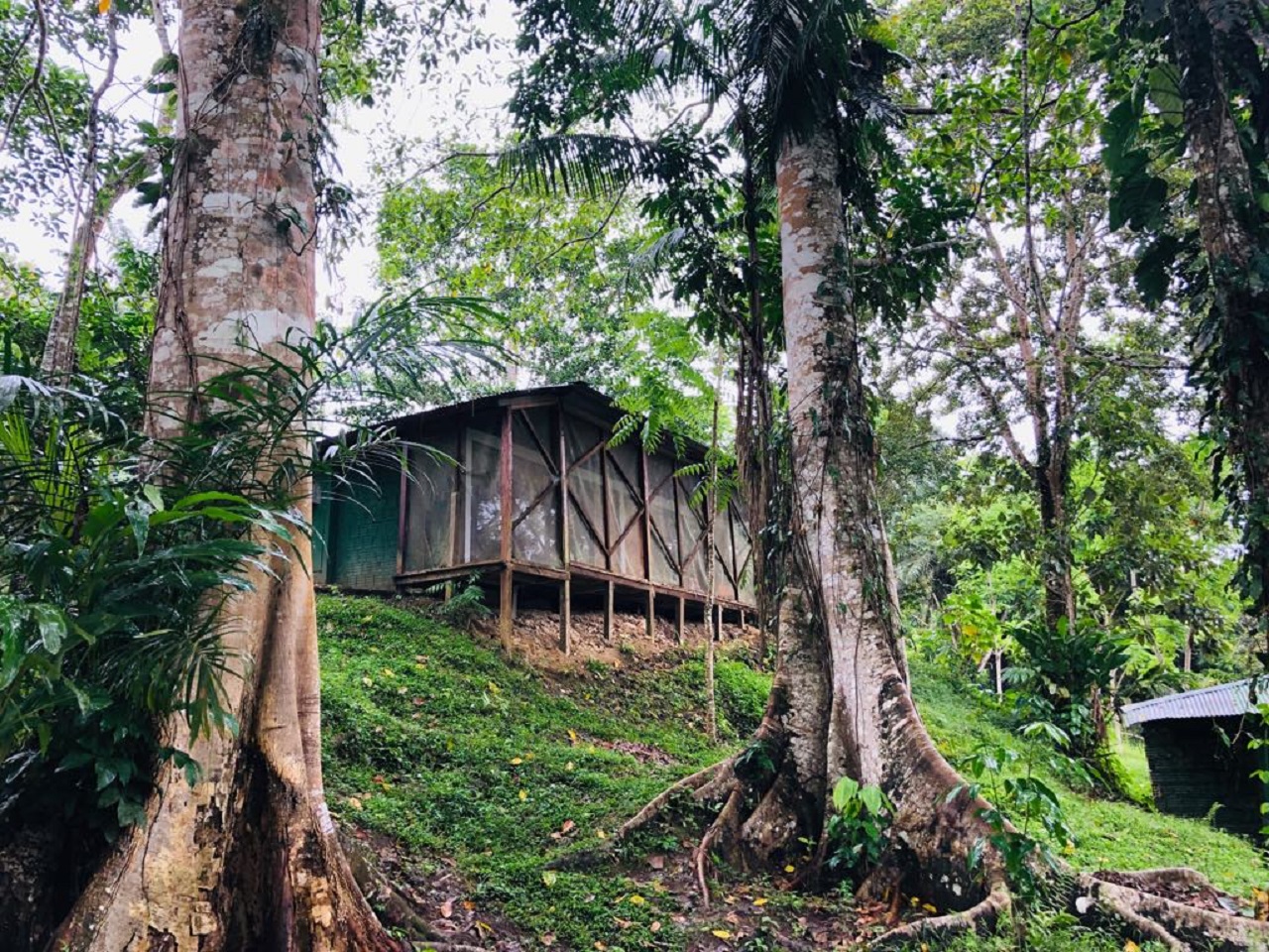Hotel en la Selva Amazônica - Airbnb