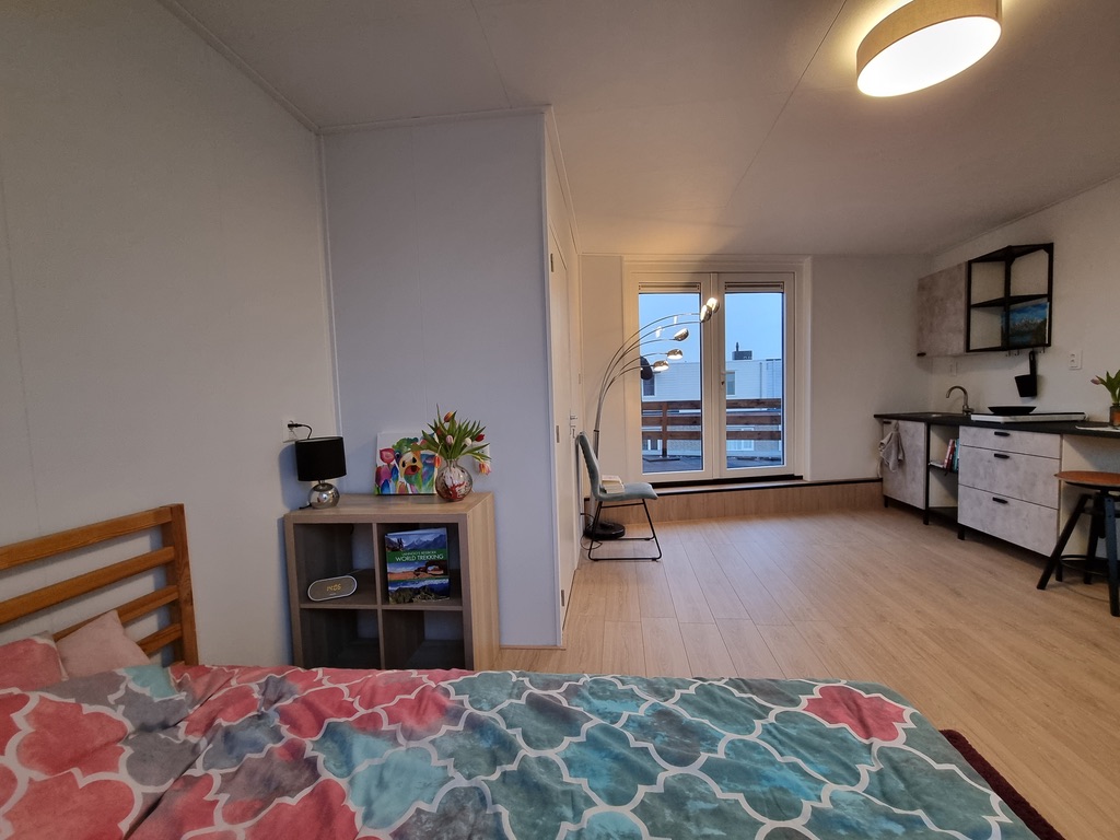 Ruime gerenoveerde kamer met privé dakterras. — Rotterdam stay