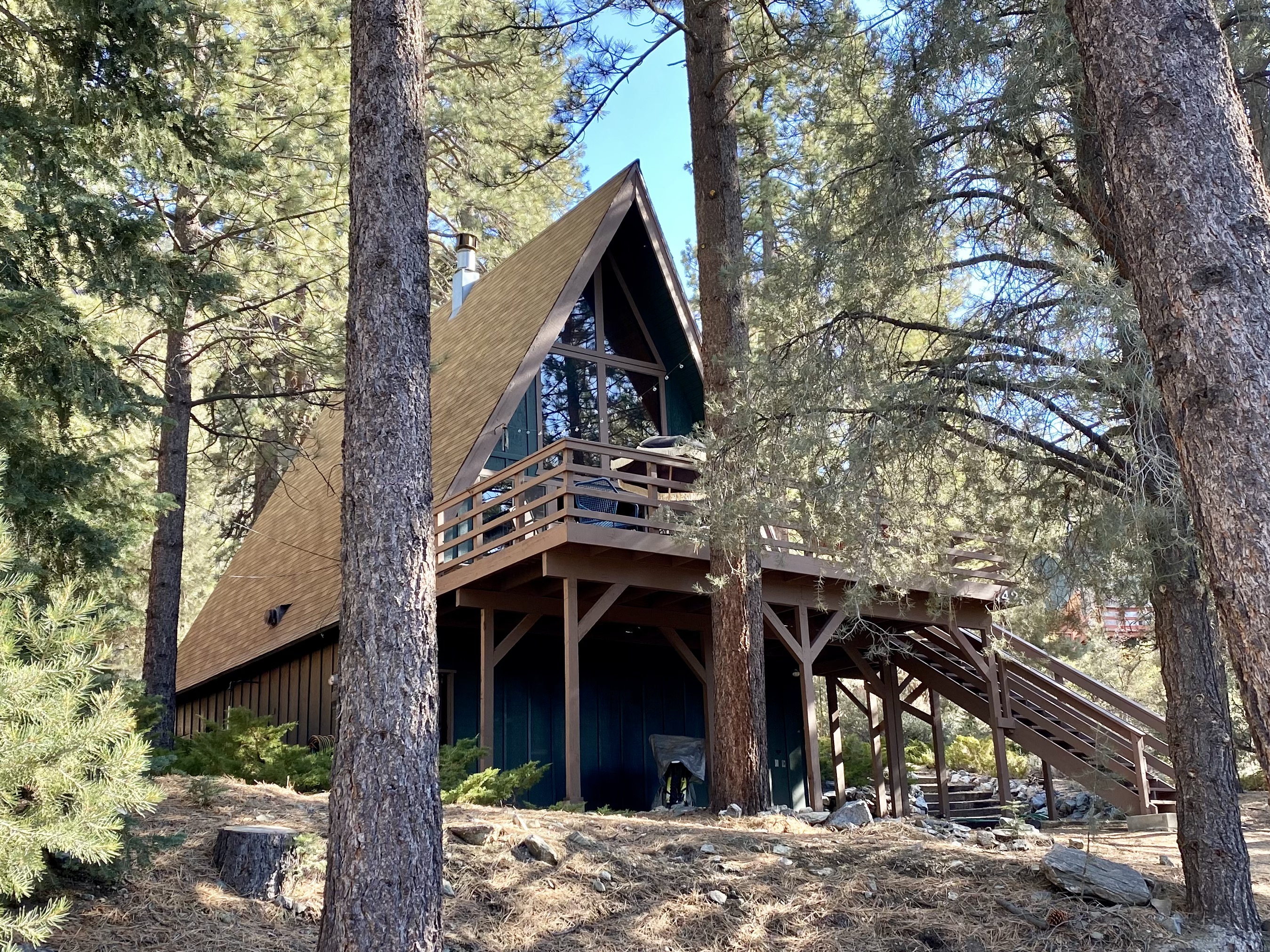 The YAY Frame 🌲 1970s A-Frame in the forest 🐻