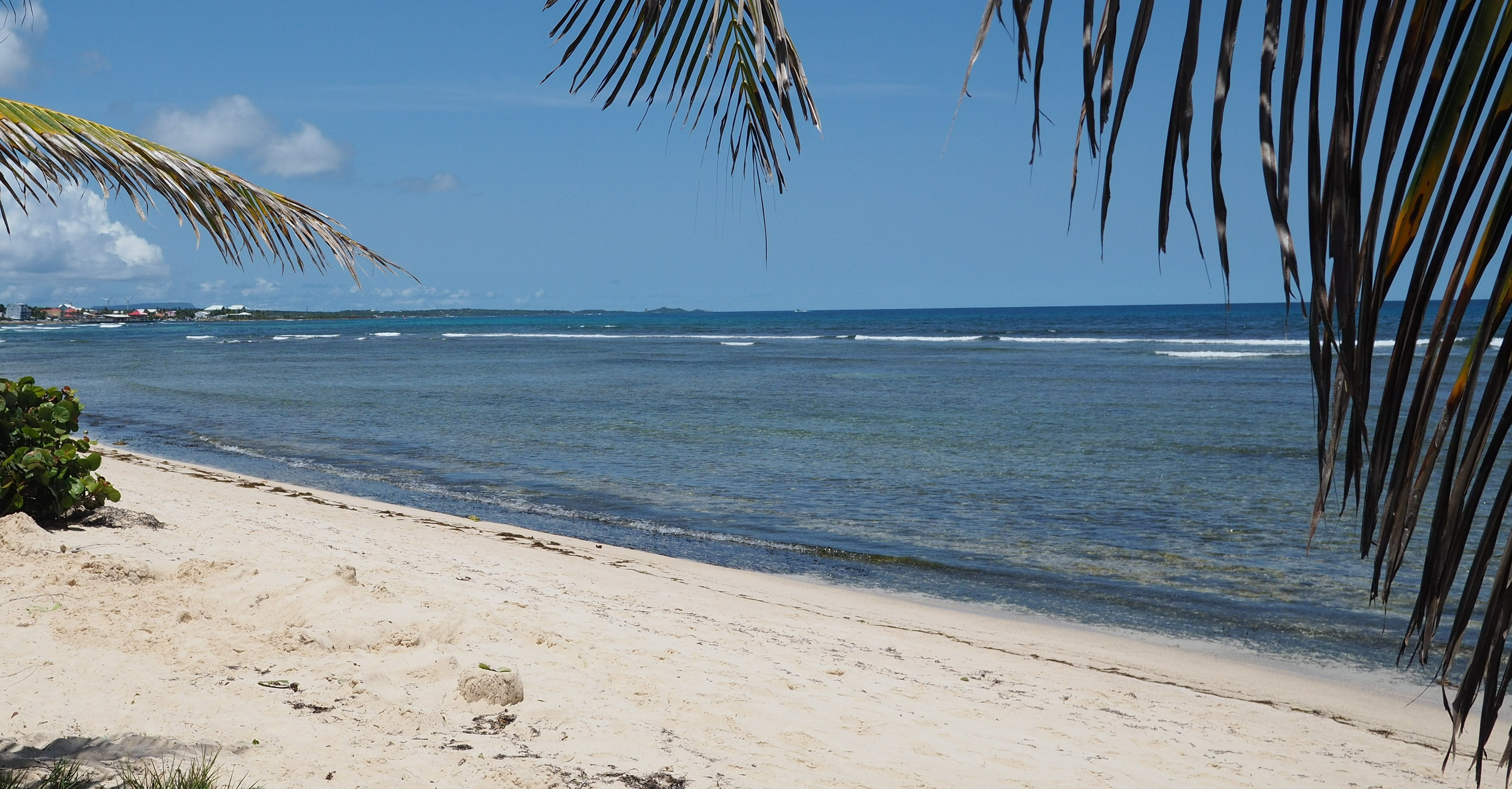 Le Colibri - T2 with your feet in the water