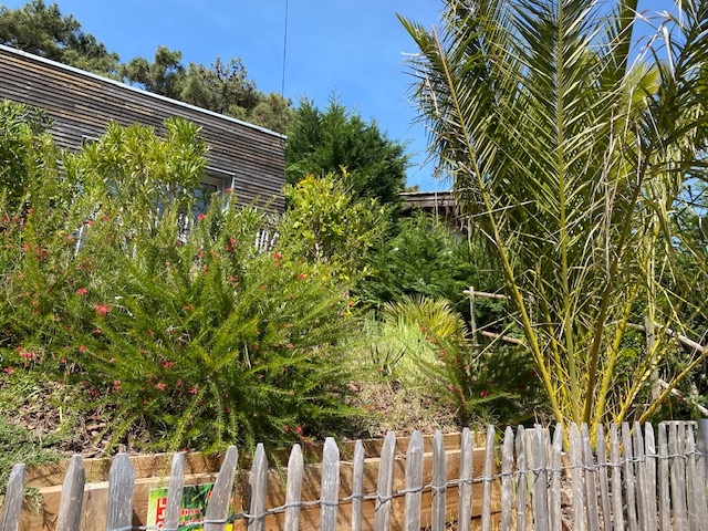 Designer villa Lacanau 4 pers. terrace 5mn Ocean