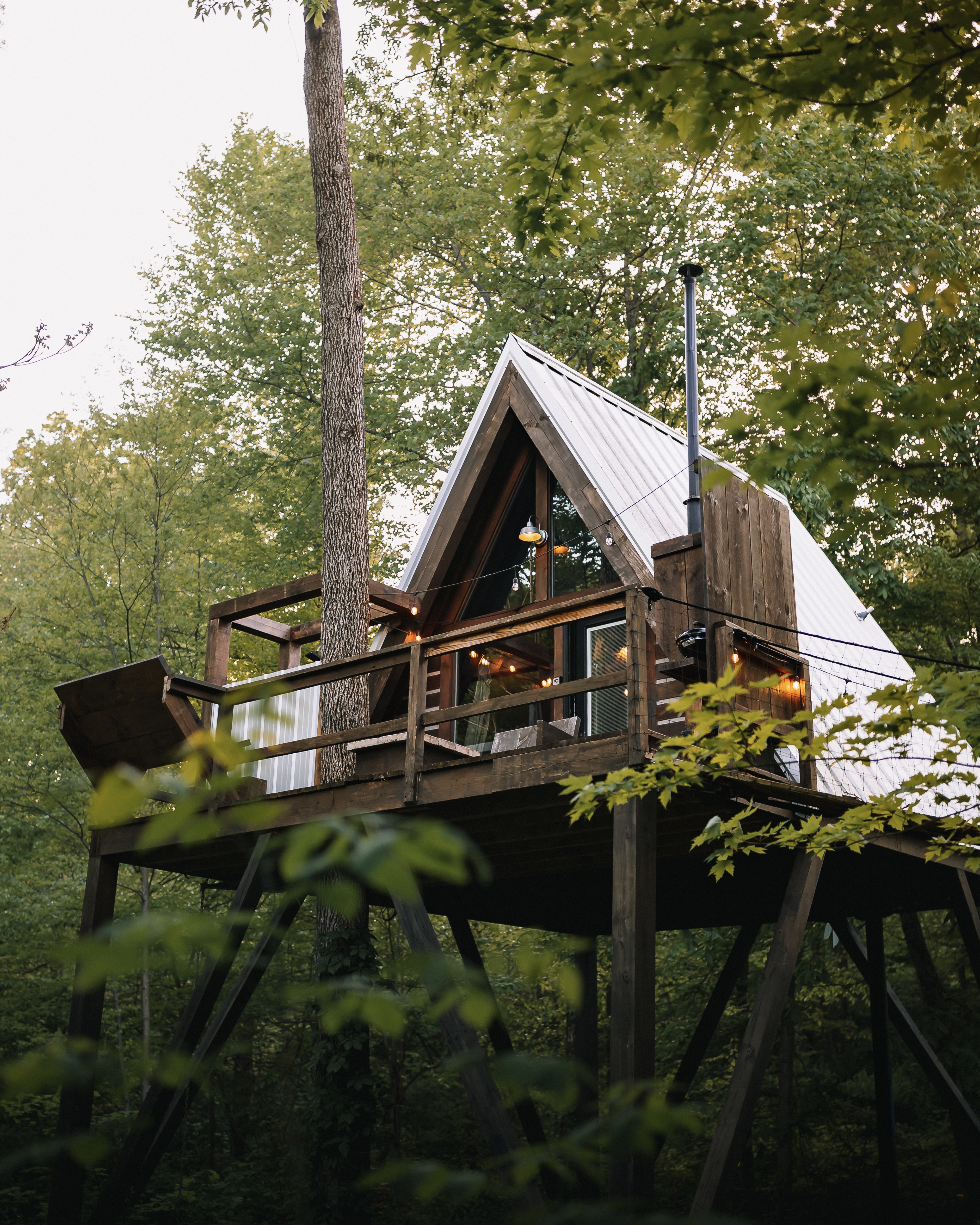 Treehouse Village - The Arrow - Treehouses for Rent in Dundee