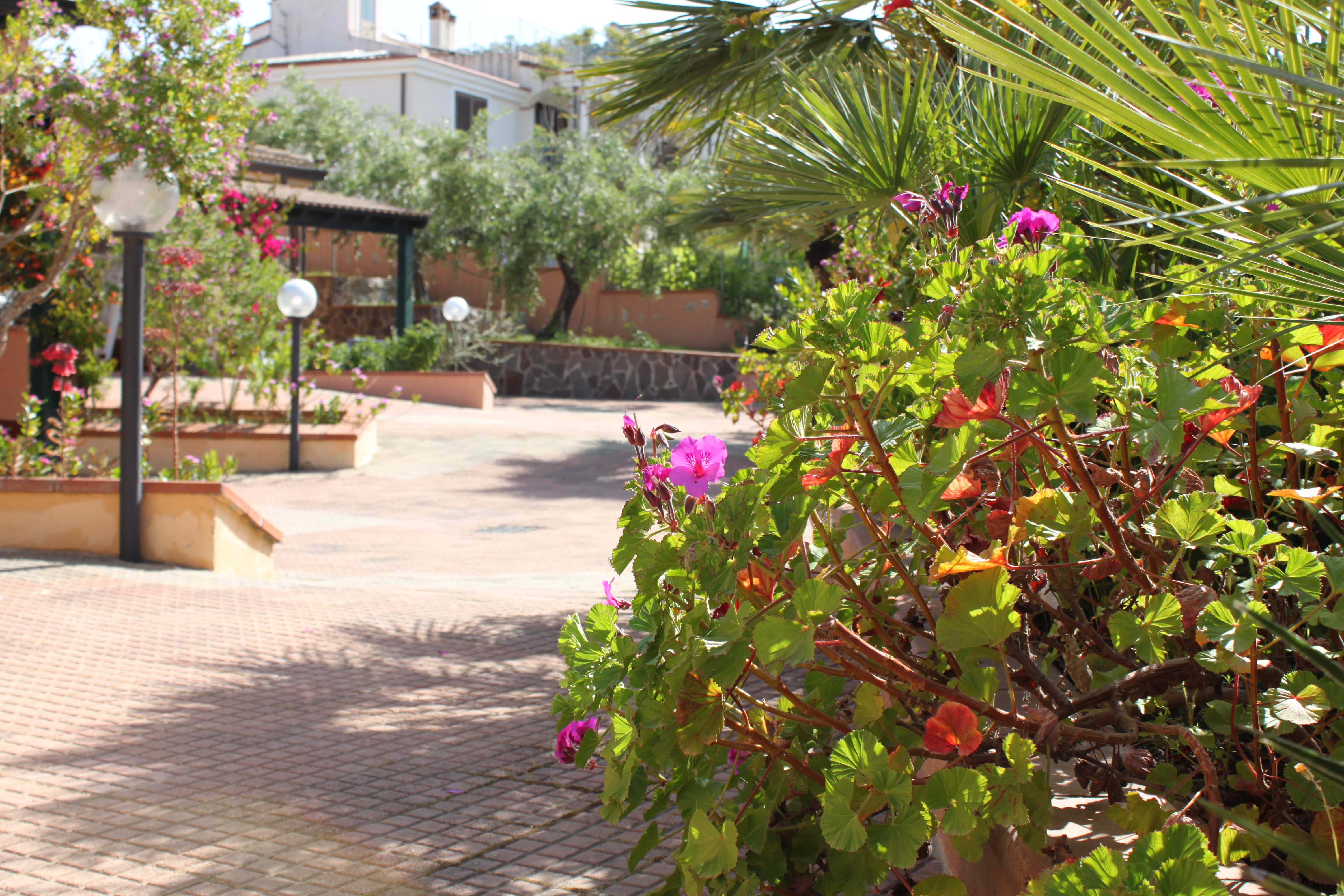 Villa just steps from the sea
