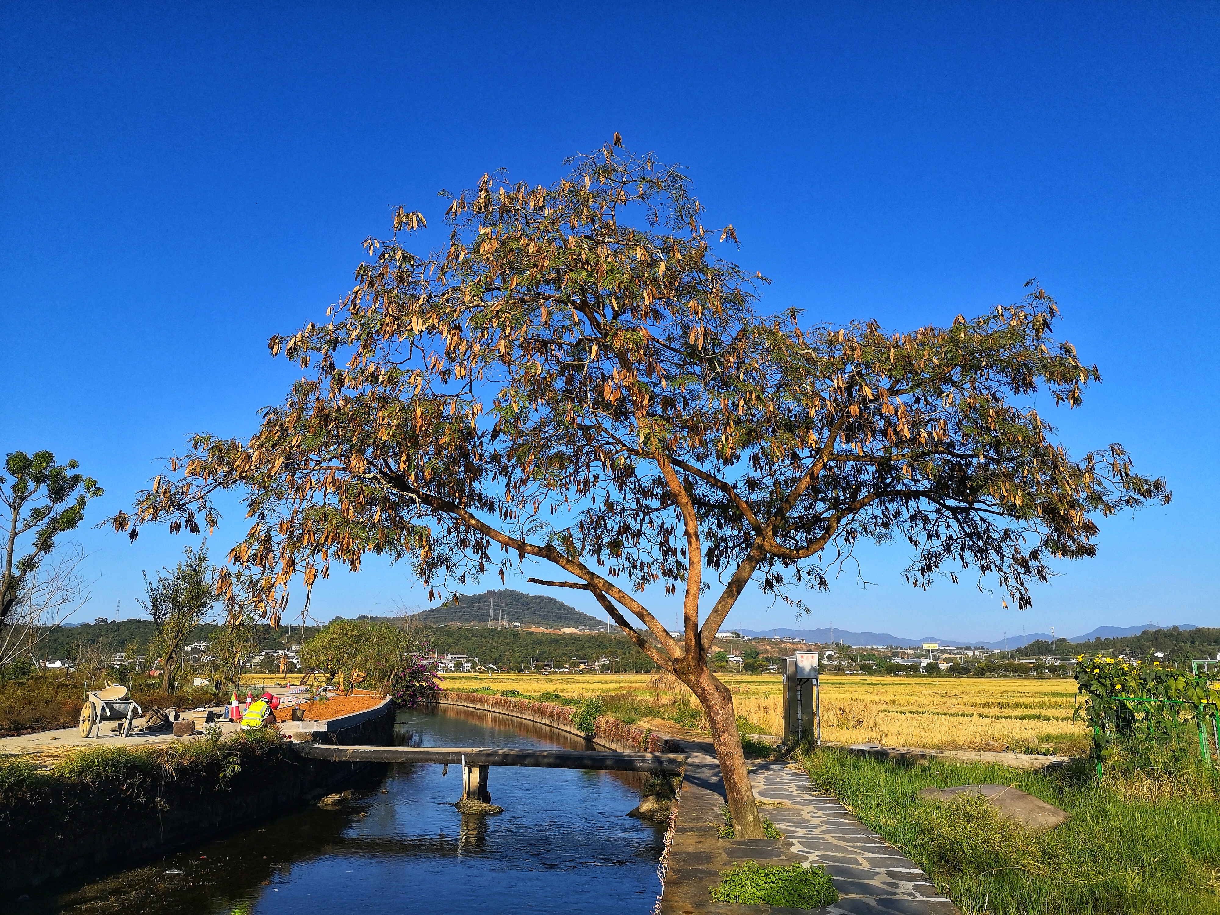 蜀禧民宿精品6卧包院 免费接机站停车含早餐欢迎水果下午茶 和顺古镇中心百年历史古宅改建 安心住 Kezhan China En Renta