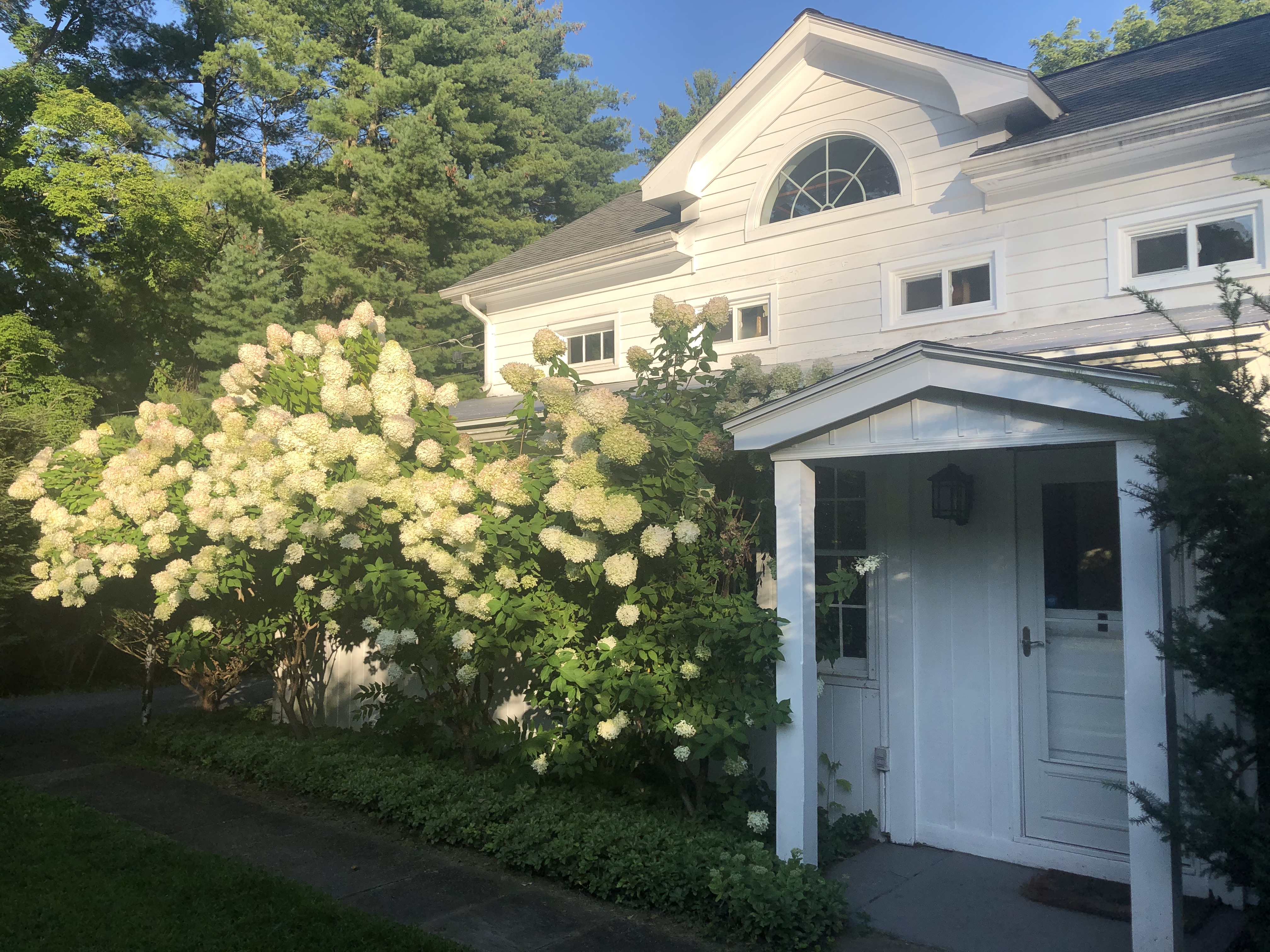 Charming, cozy, romantic 1851 Cottage All Seasons
