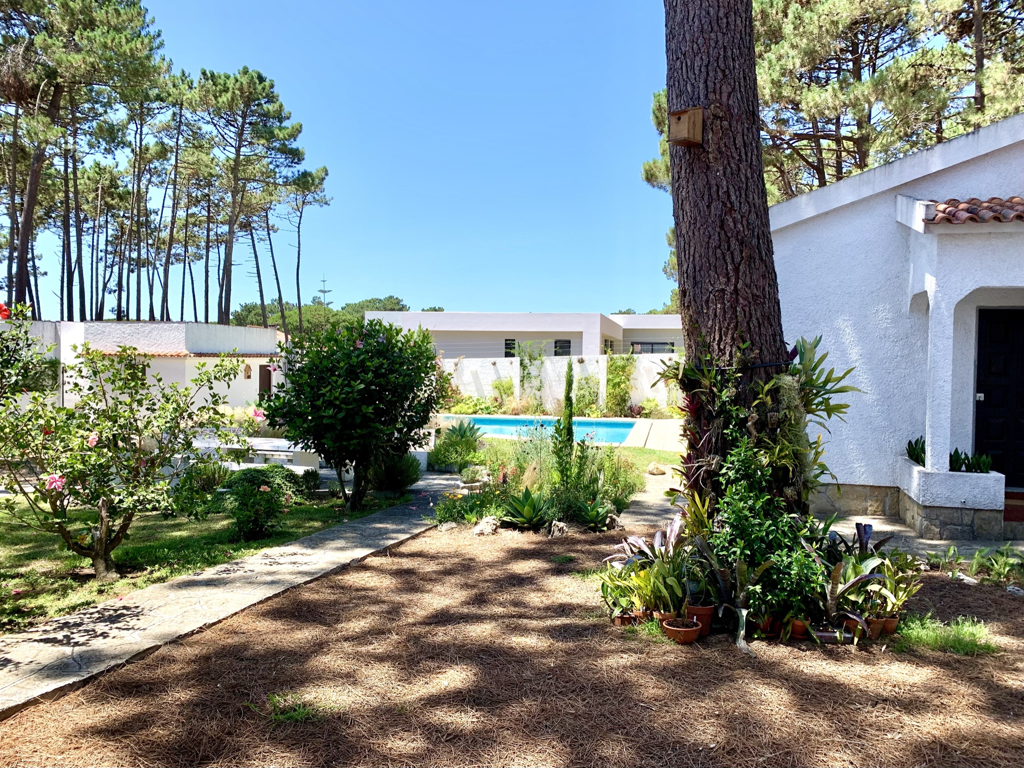 Oak Valley Flats Casa do Pinhal 5BR 4km to beach