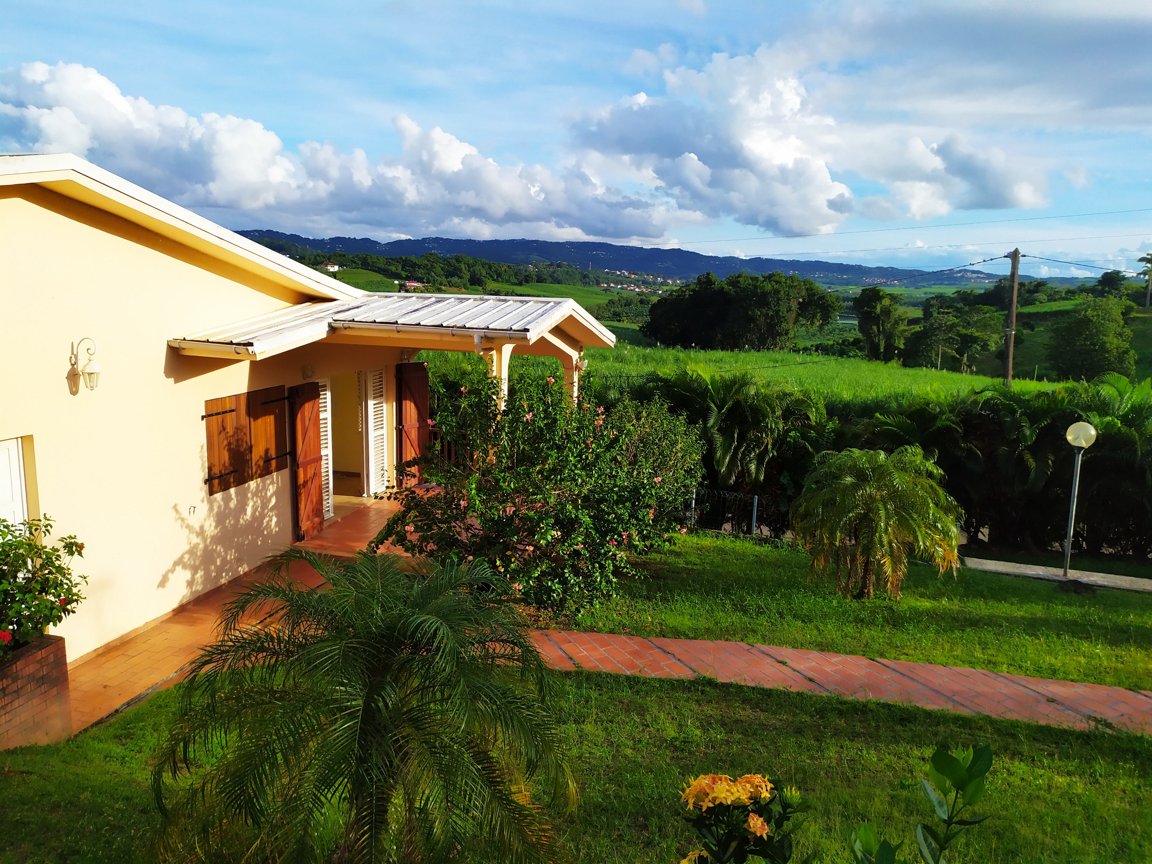 Guava studio