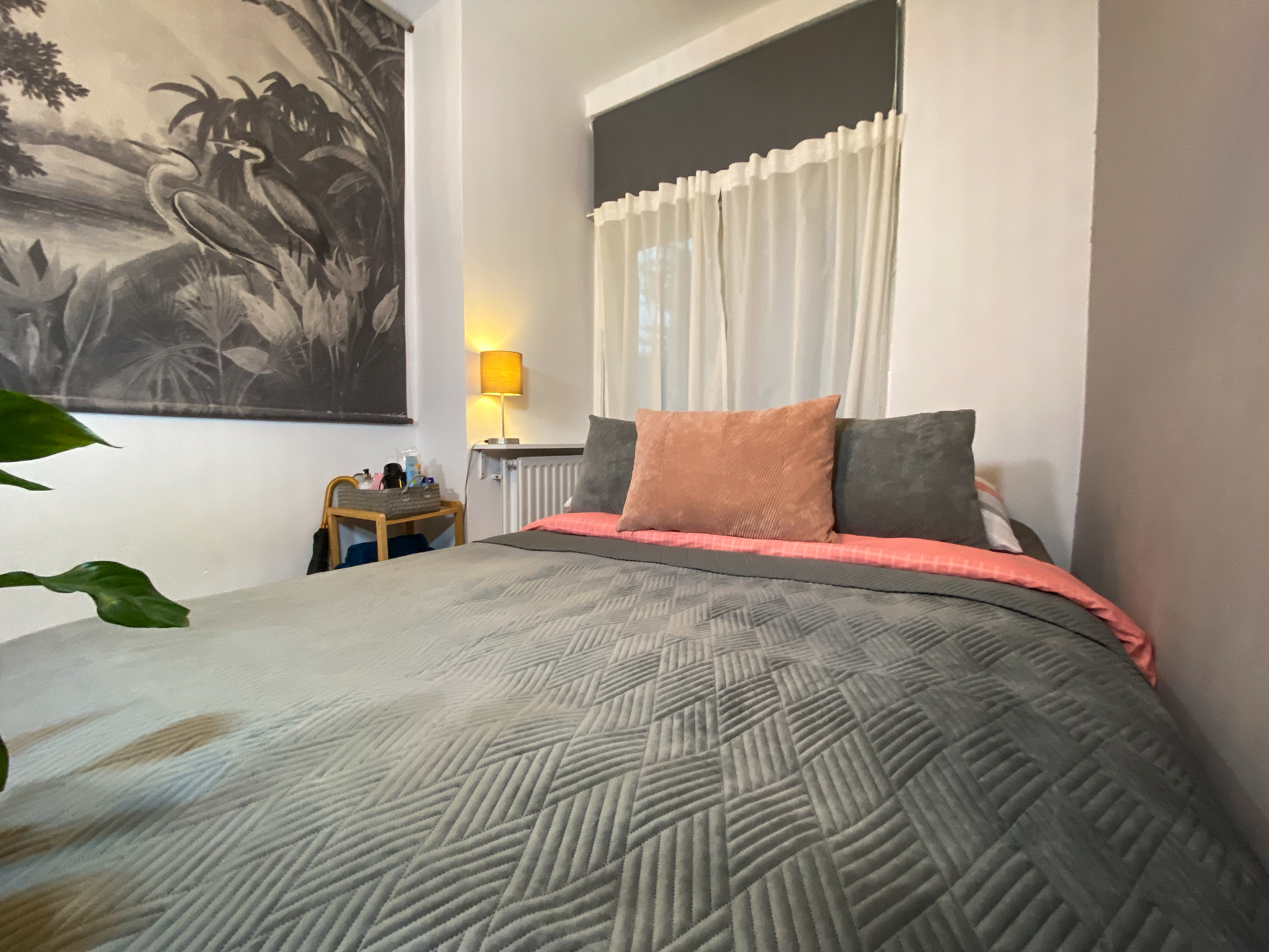 Cosy and light bedroom in Amsterdam West โ Amsterdam stay