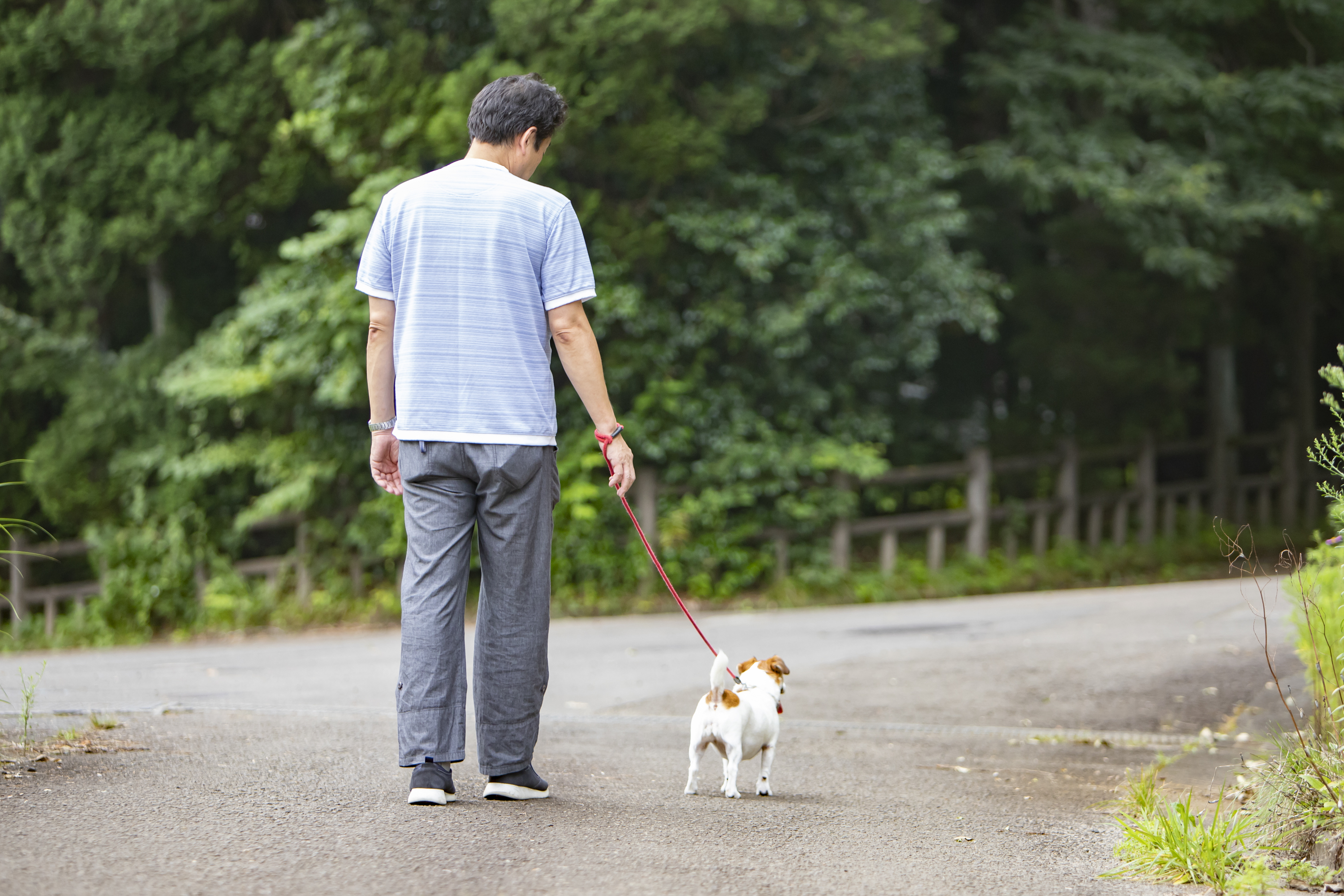 ペットと泊まれる温泉付貸別荘 一棟貸切 ヴィラ ドゥ ソレイユ 蔵王山水苑 借りられるコテージ Zaō Machi Katta Gun Miyagi 日本
