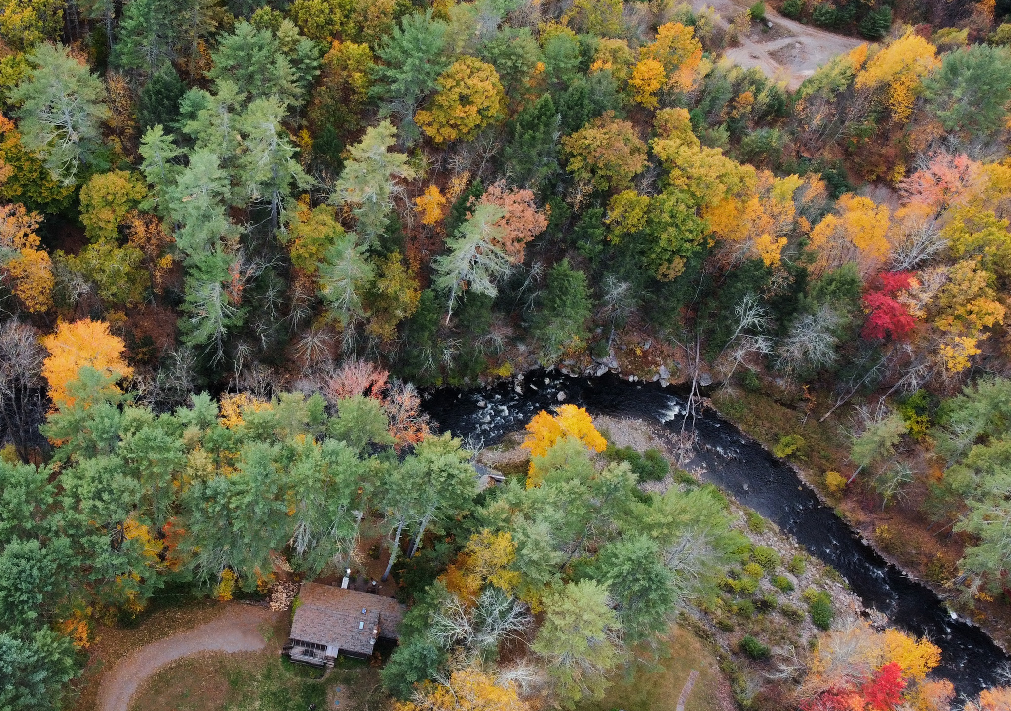 Cozy Forest Riverfront Cabin with Japanese Hottub