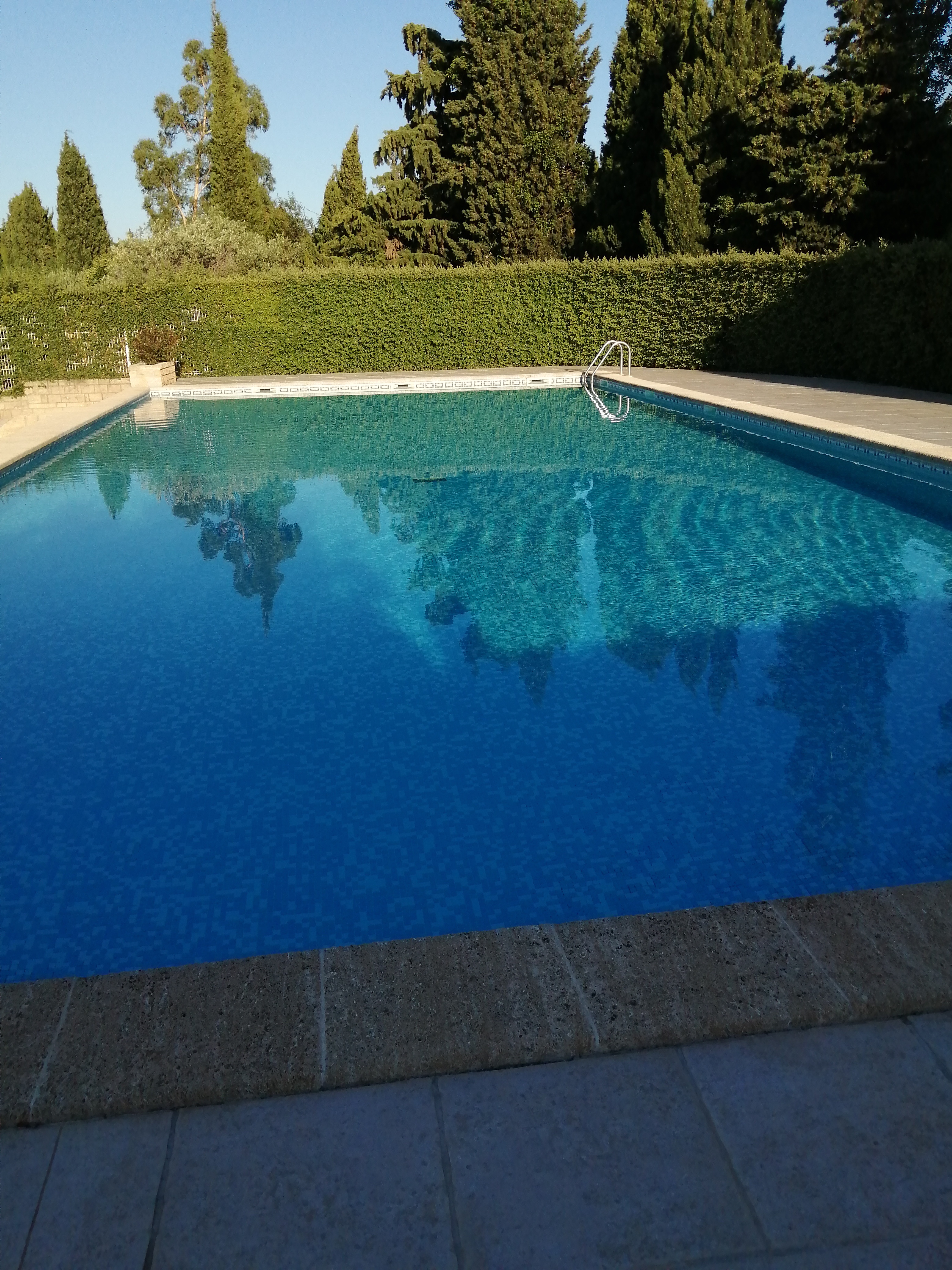 The Pearl of Alpilles