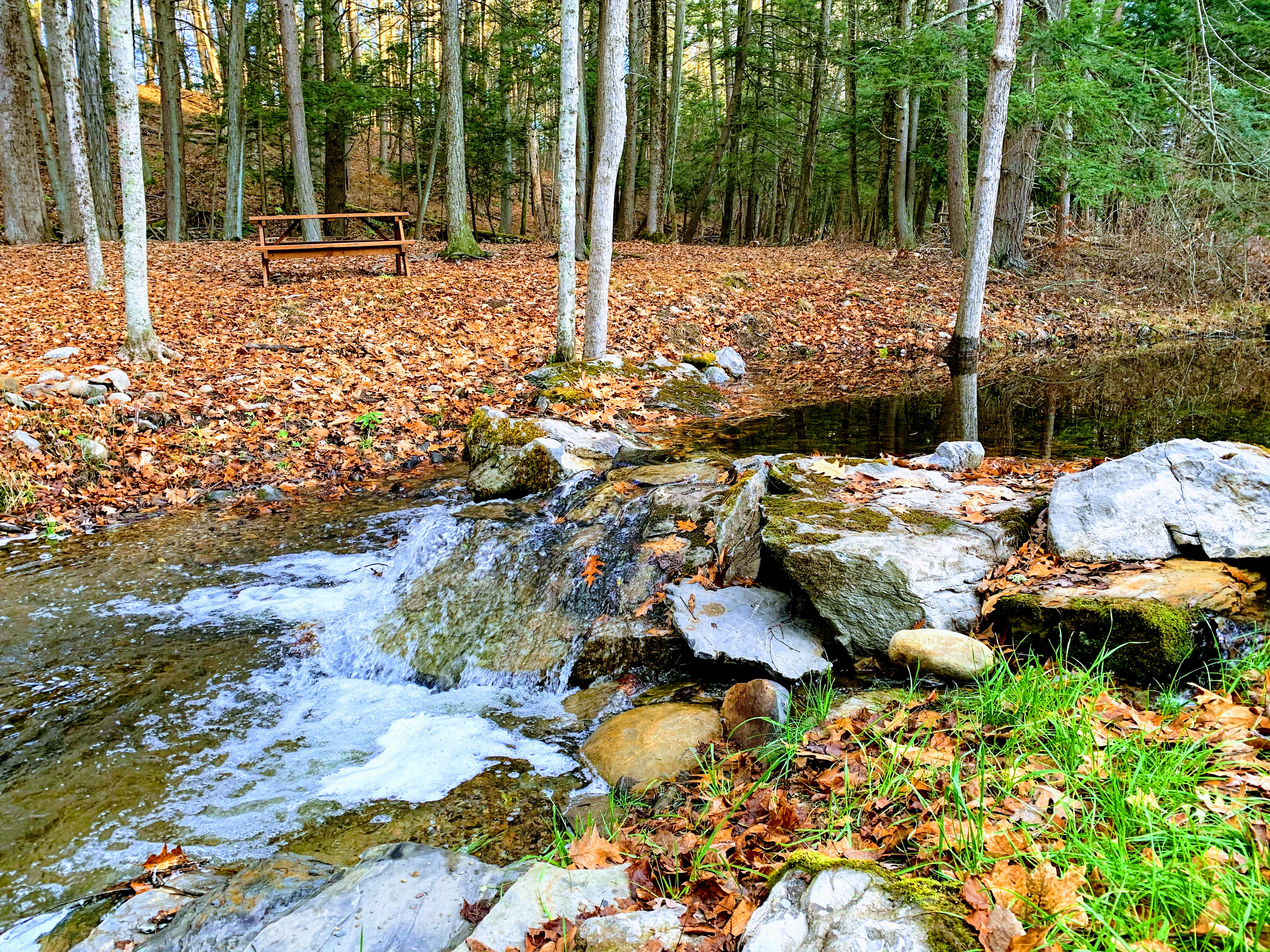3Br Hilltop Ranch on 130acre farm w/ falls & creek