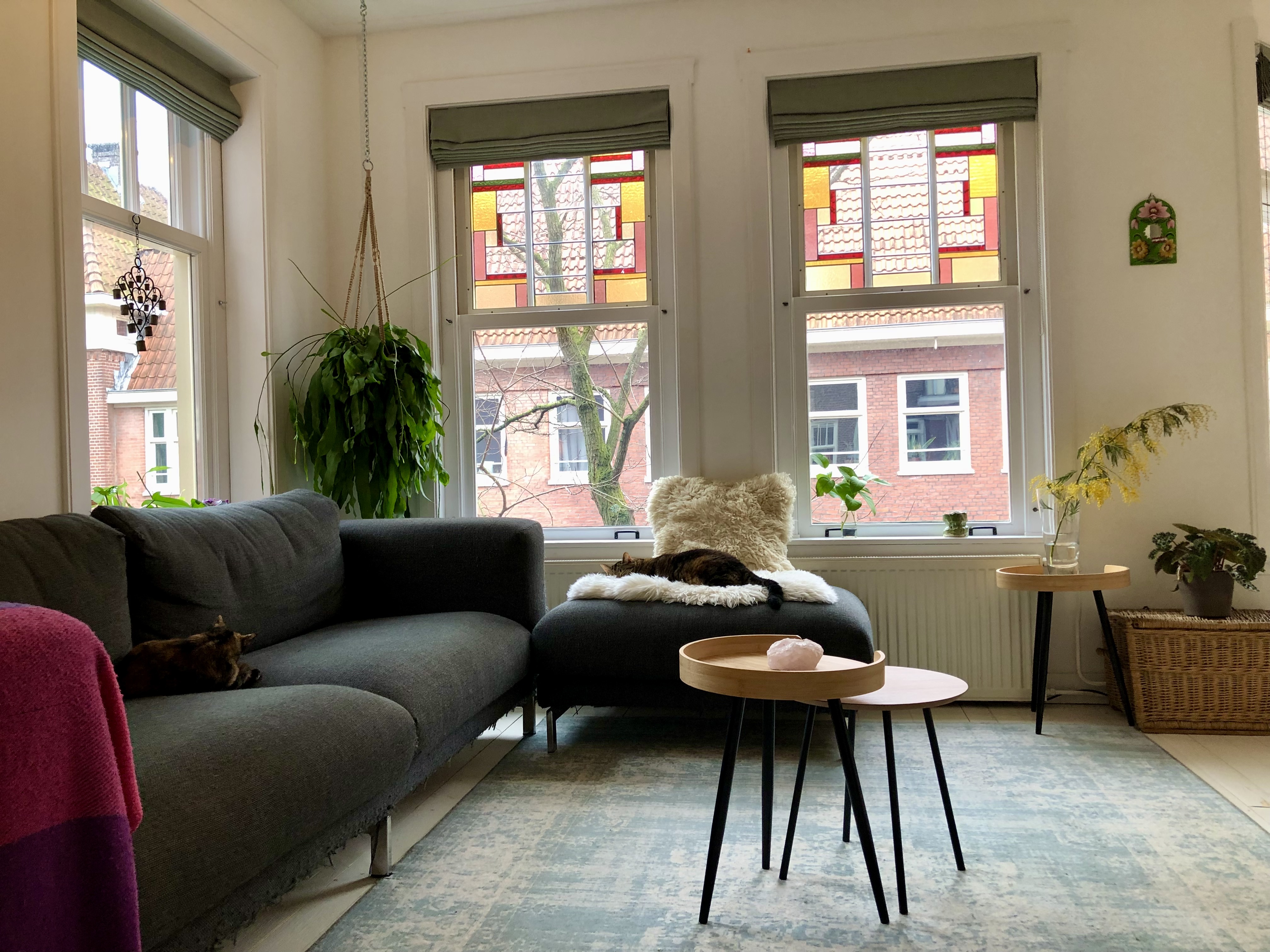 Ruim appartement, rustige buurt. — Amsterdam stay