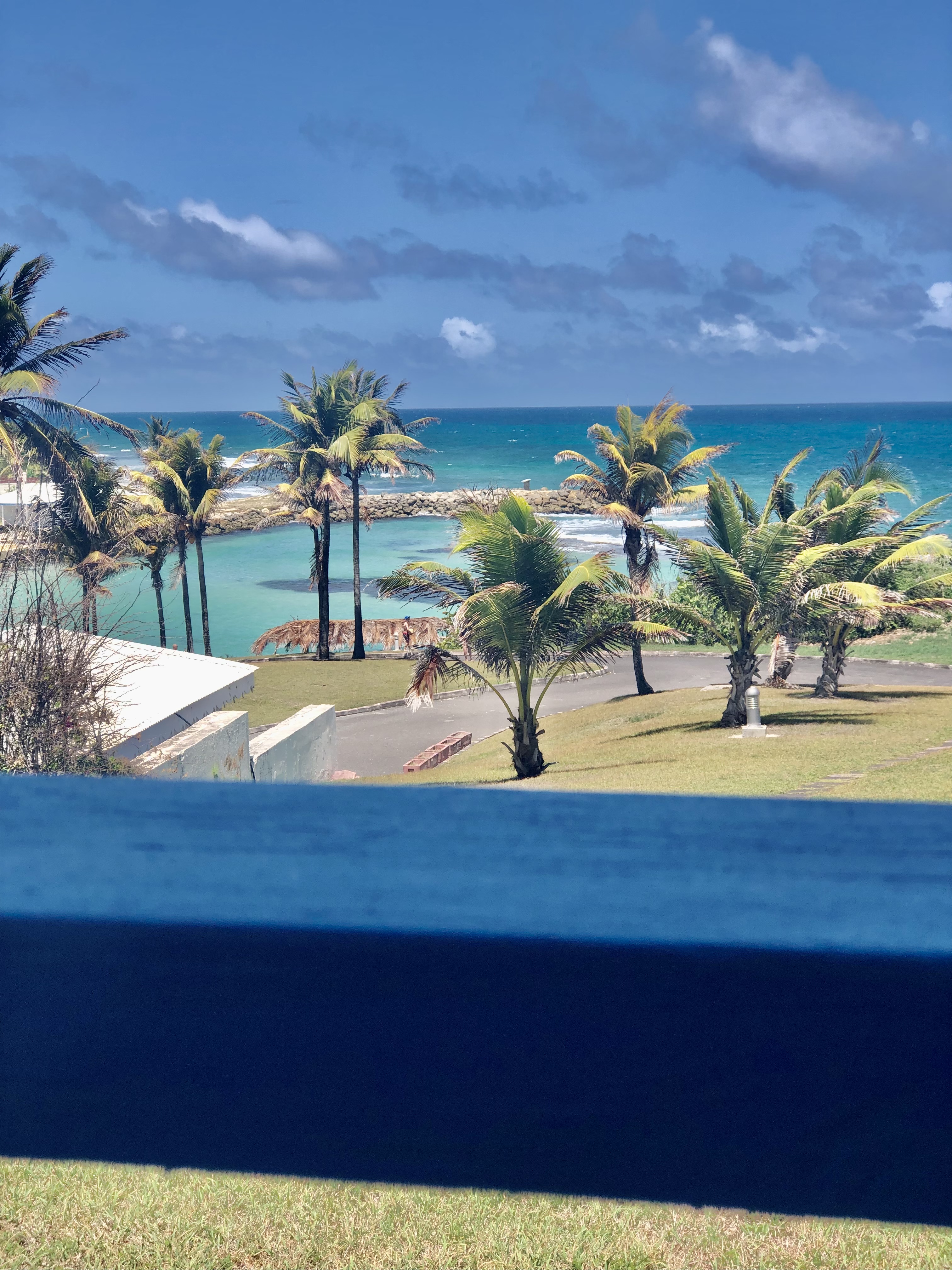 Beautiful sea view, swimming pool access and deckchairs included
