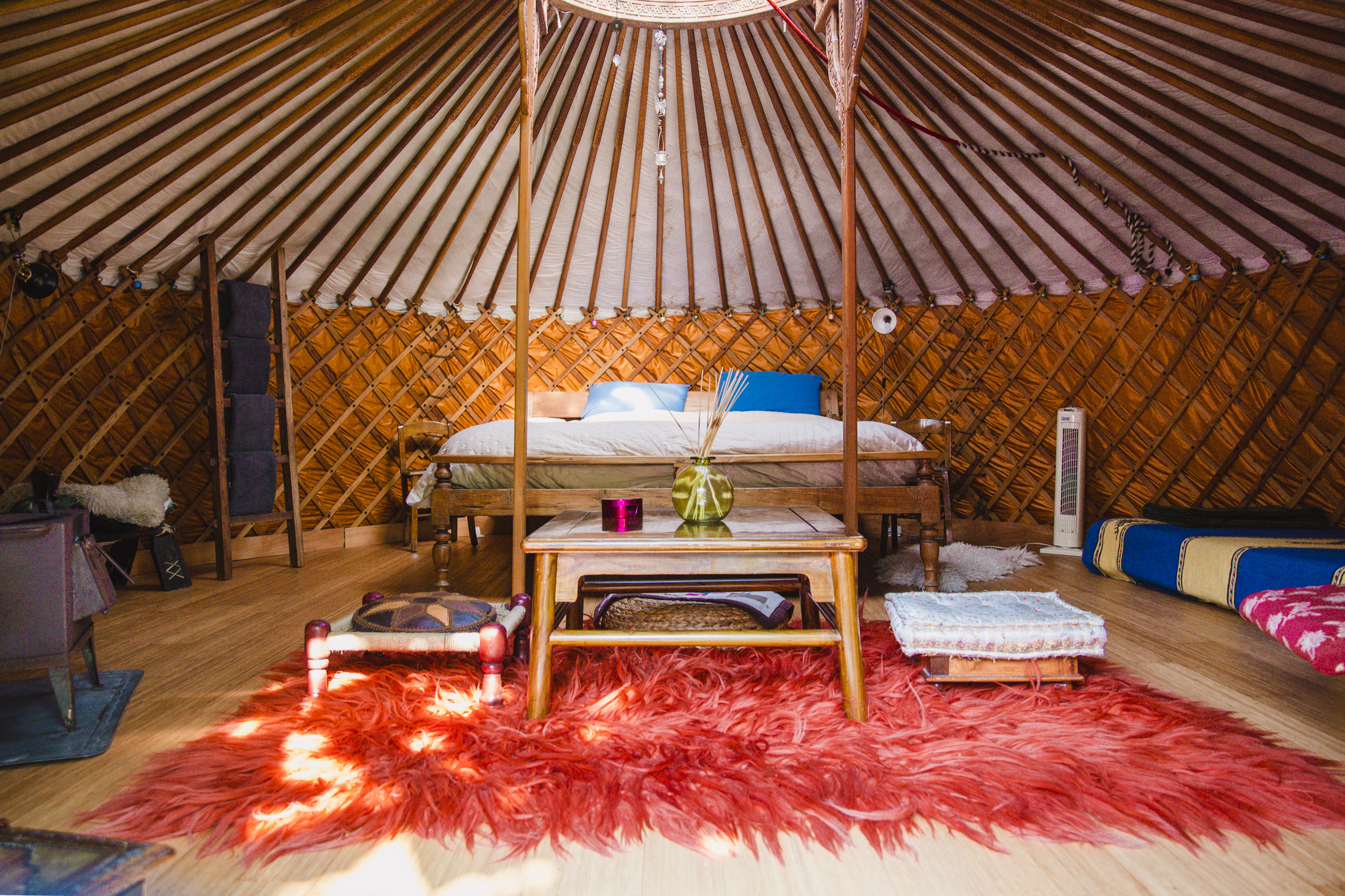 B&B Reijgershof "Yurt" — Amsterdam stay