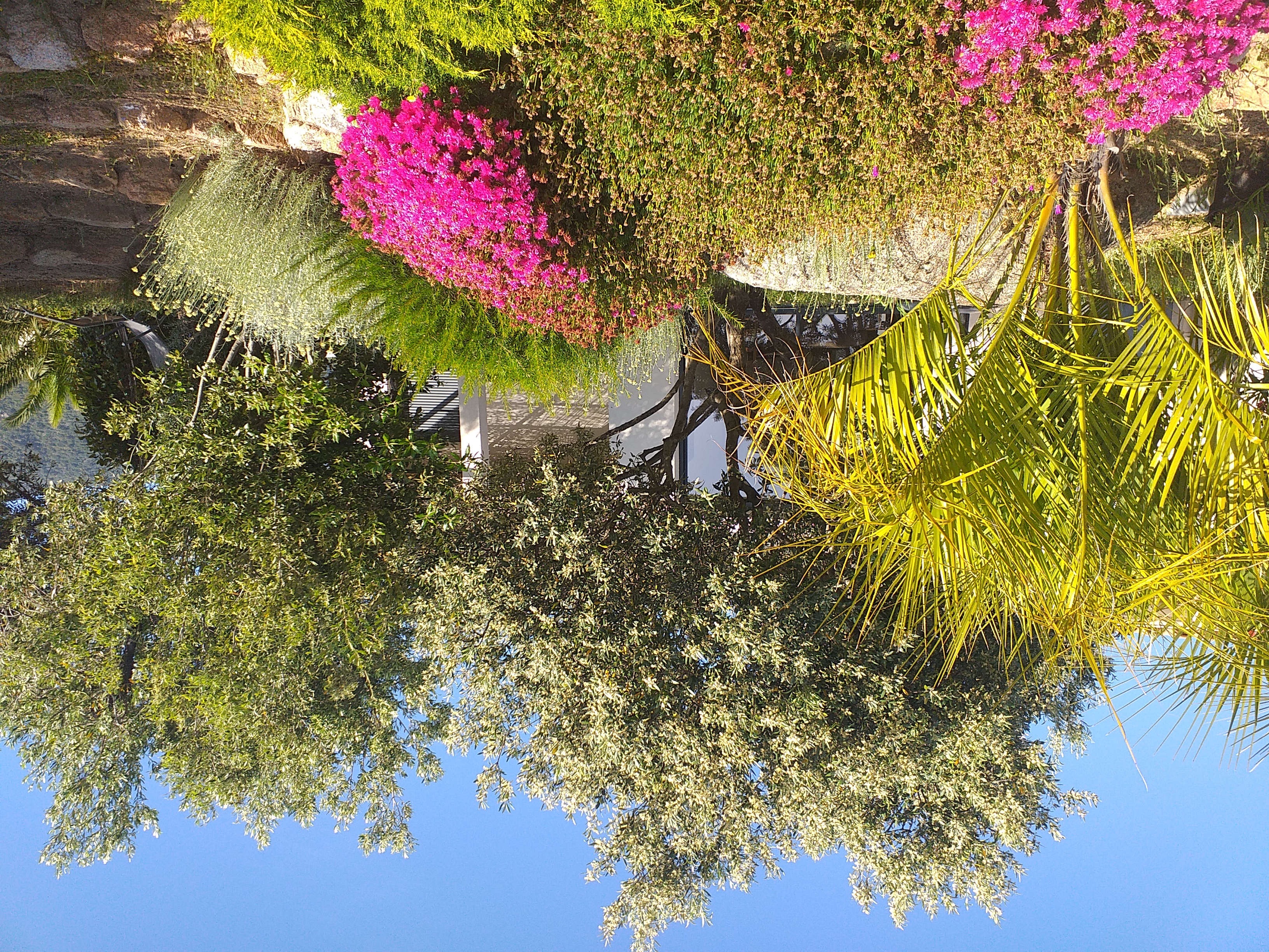 from Sunday to Sunday house F3 in quiet Figari