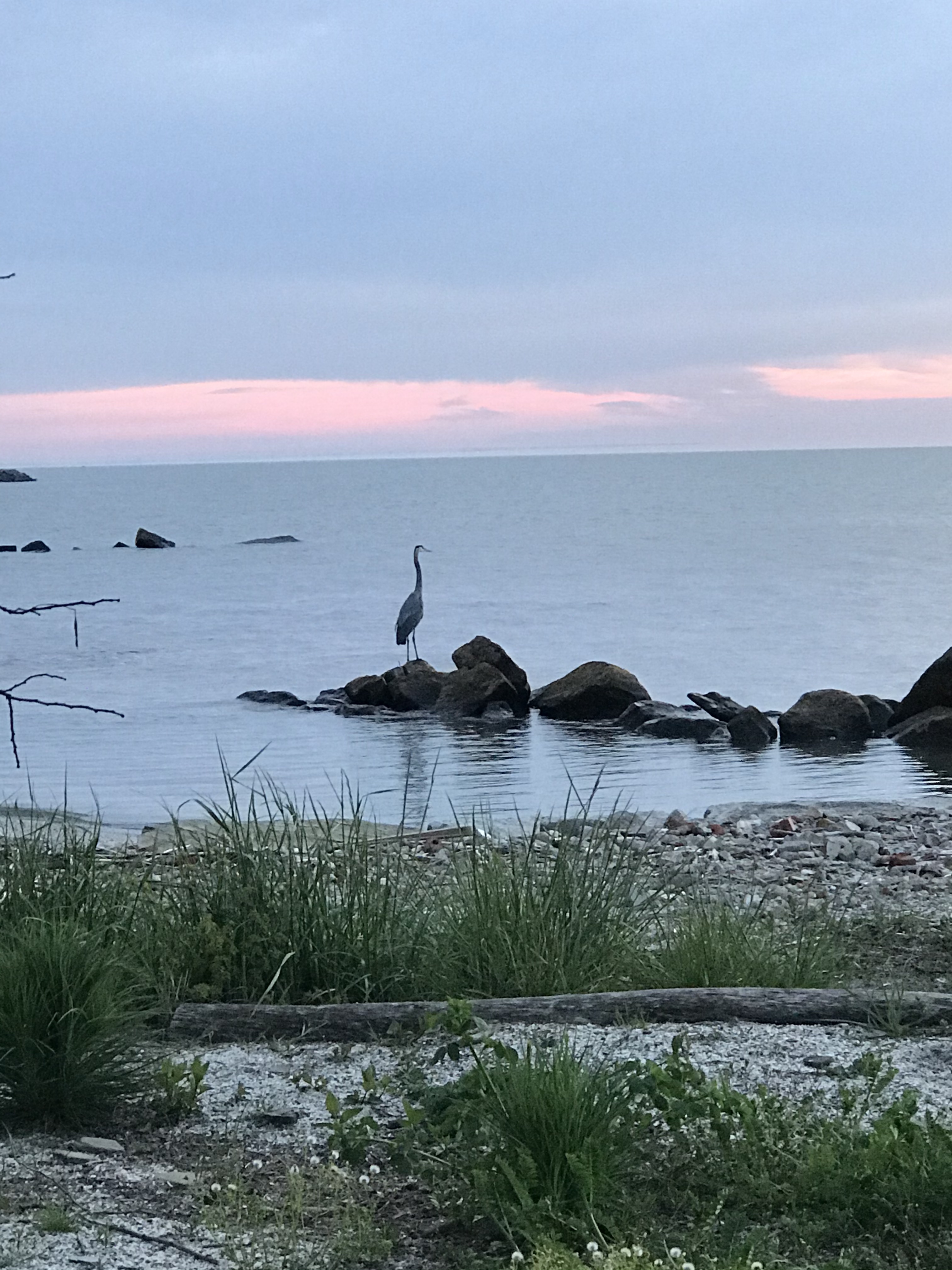 Abby's Special Lake Erie Retreat Apartments for Rent in Sheffield