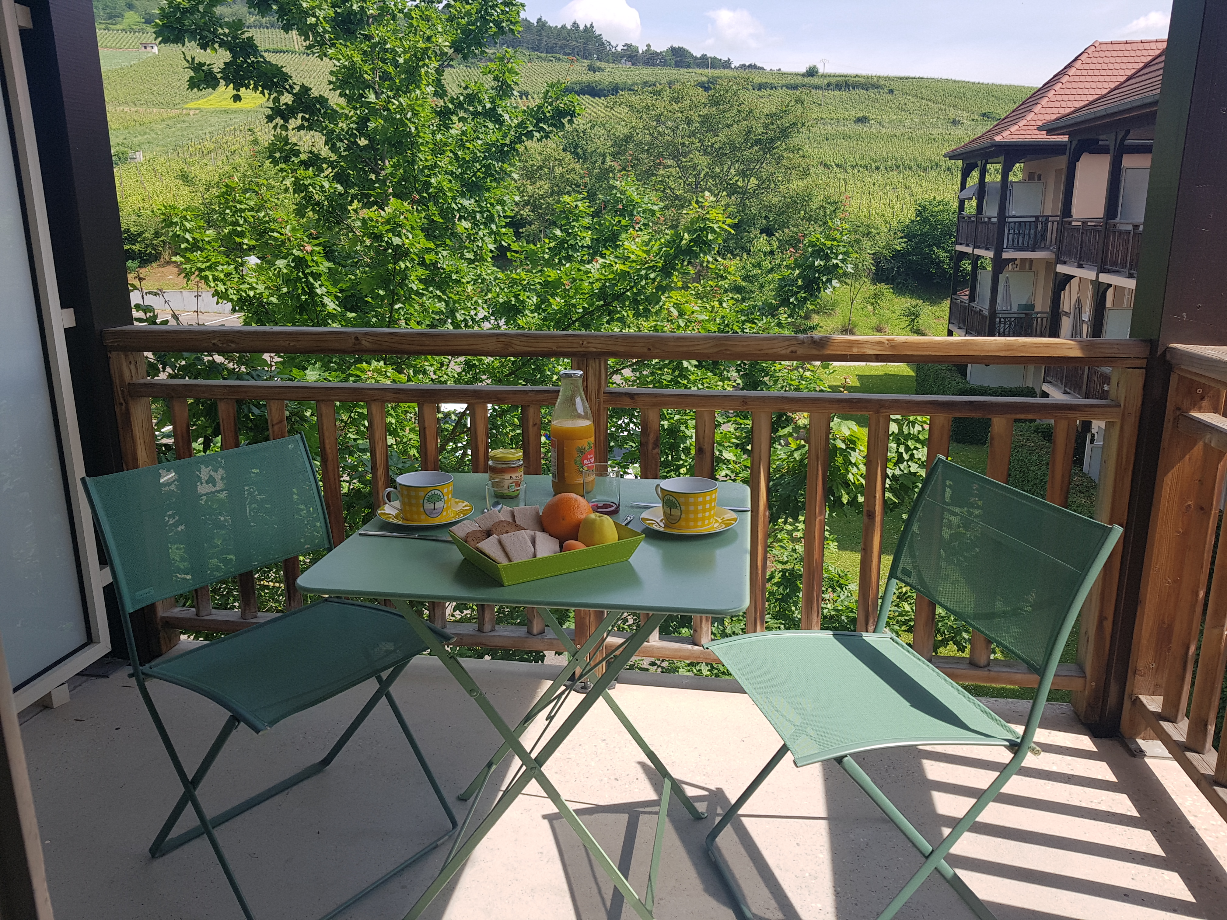 Le Petit Nid à Bergheim : au coeur de l'Alsace.