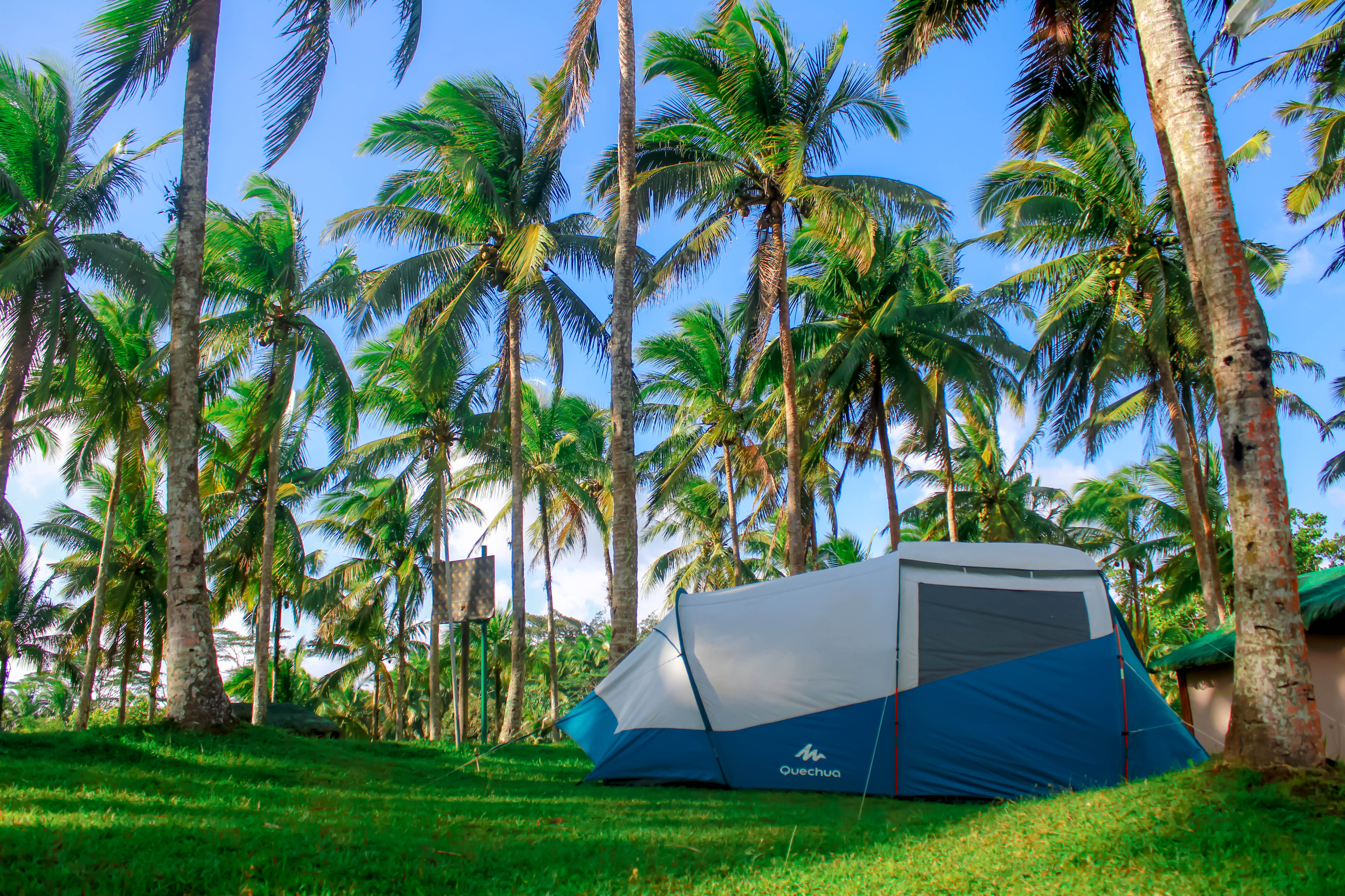 Camping for four in Caliraya Ecoville, Laguna