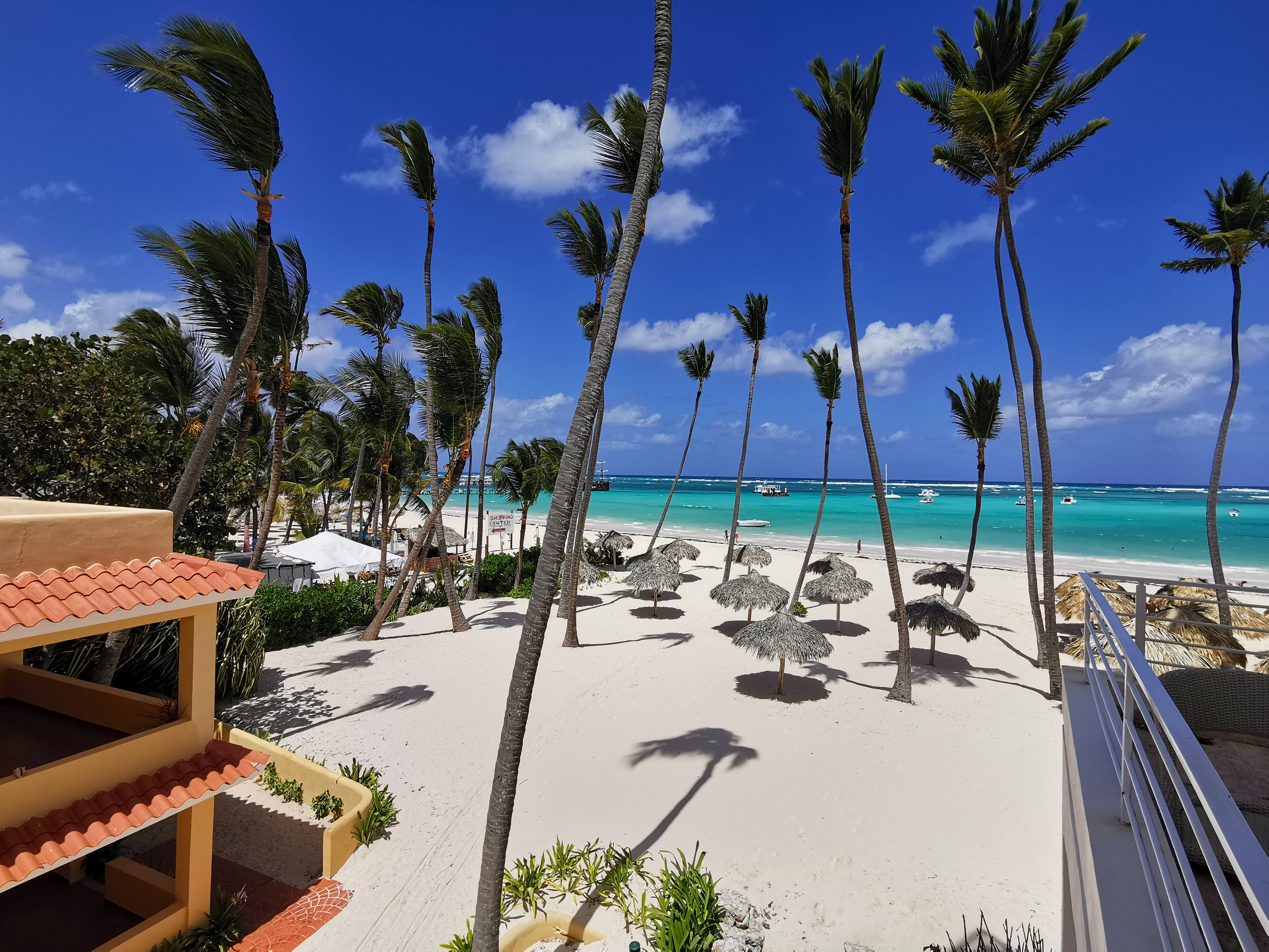 Dominican Pinga
