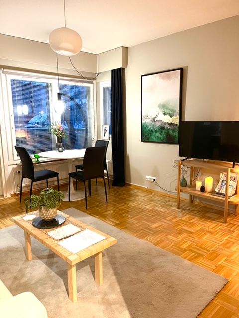 Cozy studio with sauna near Olavinlinna Castle