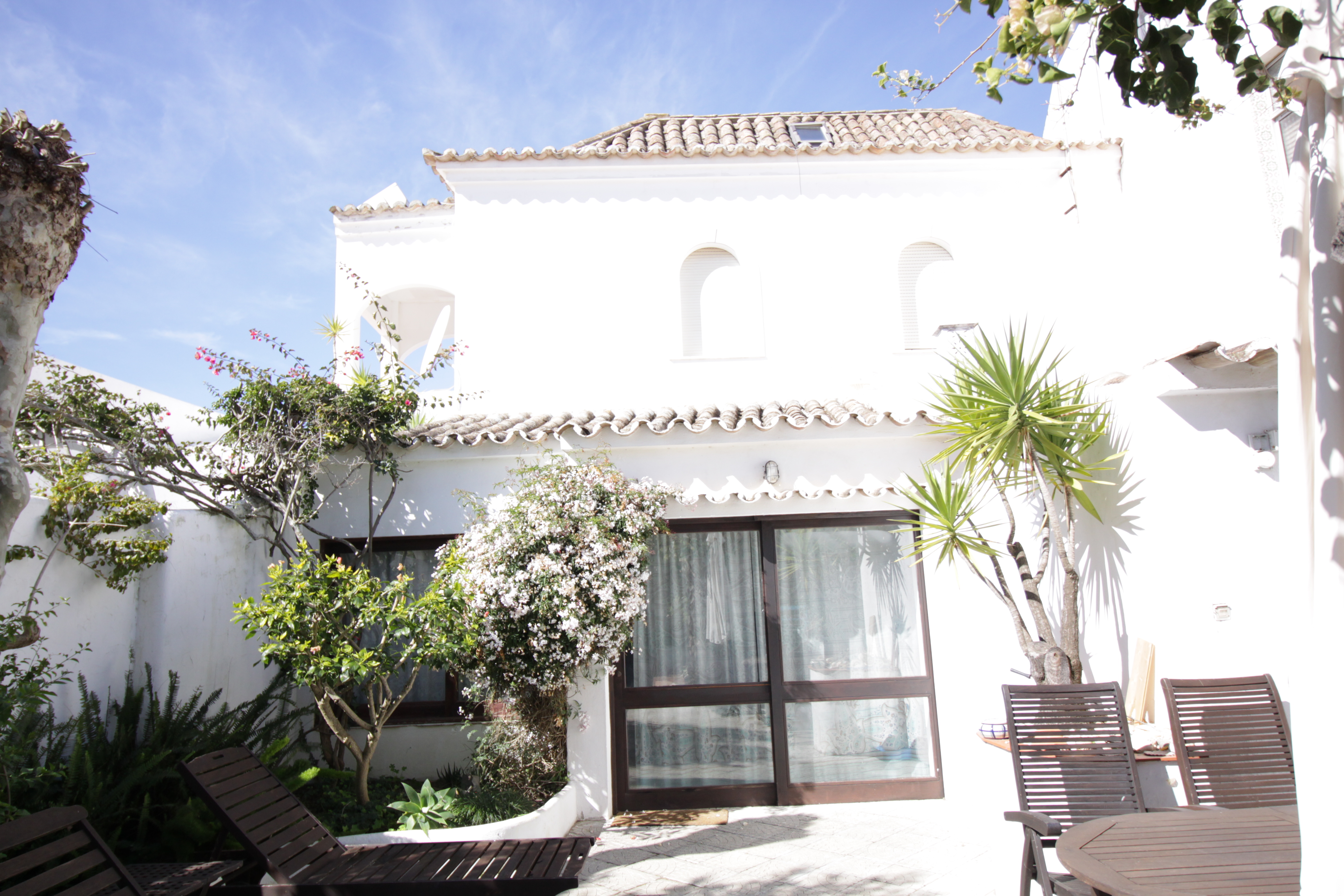 My green oasis house Aloe