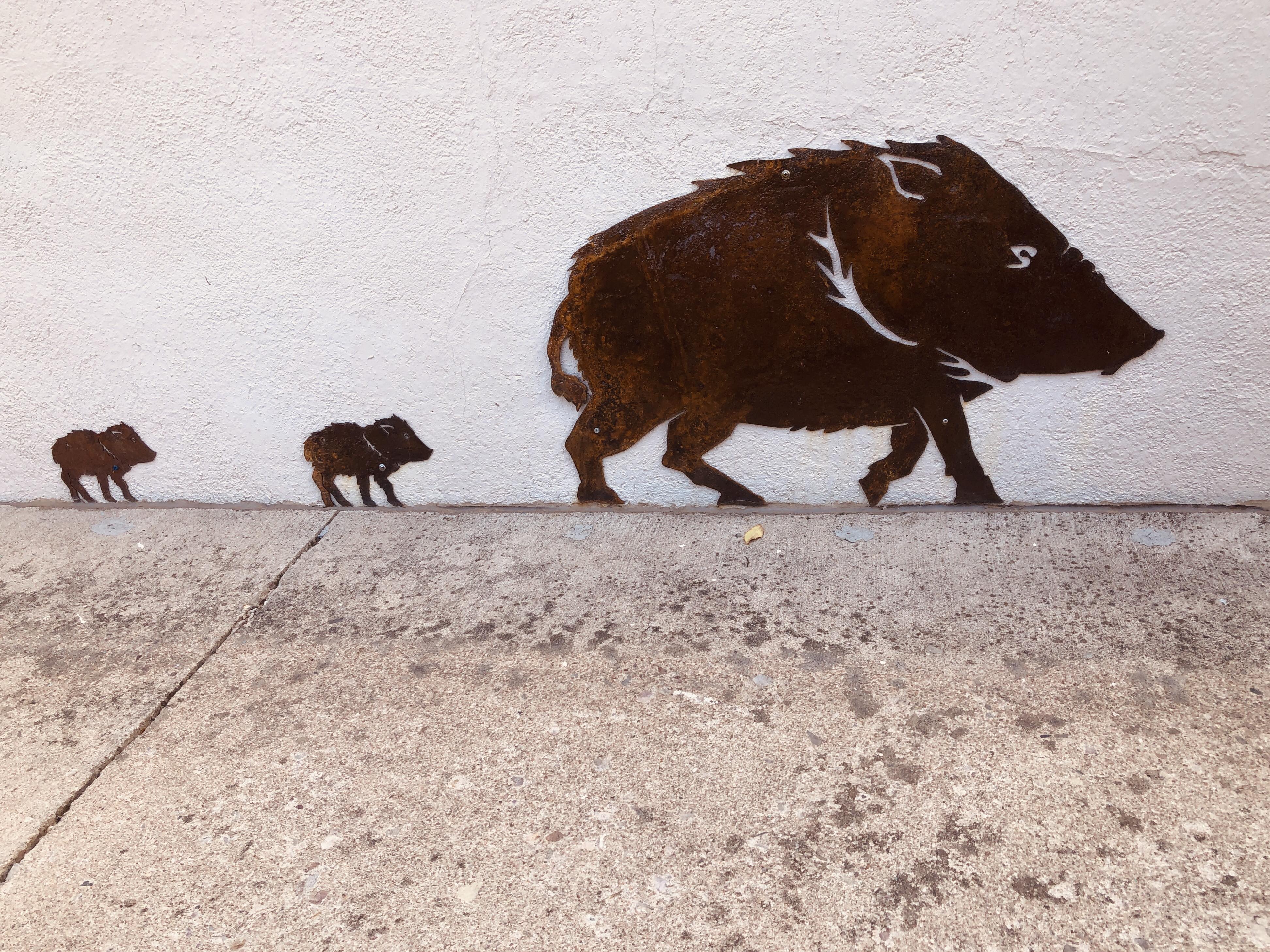 Javelina Crossing  with parking, only 2 steps