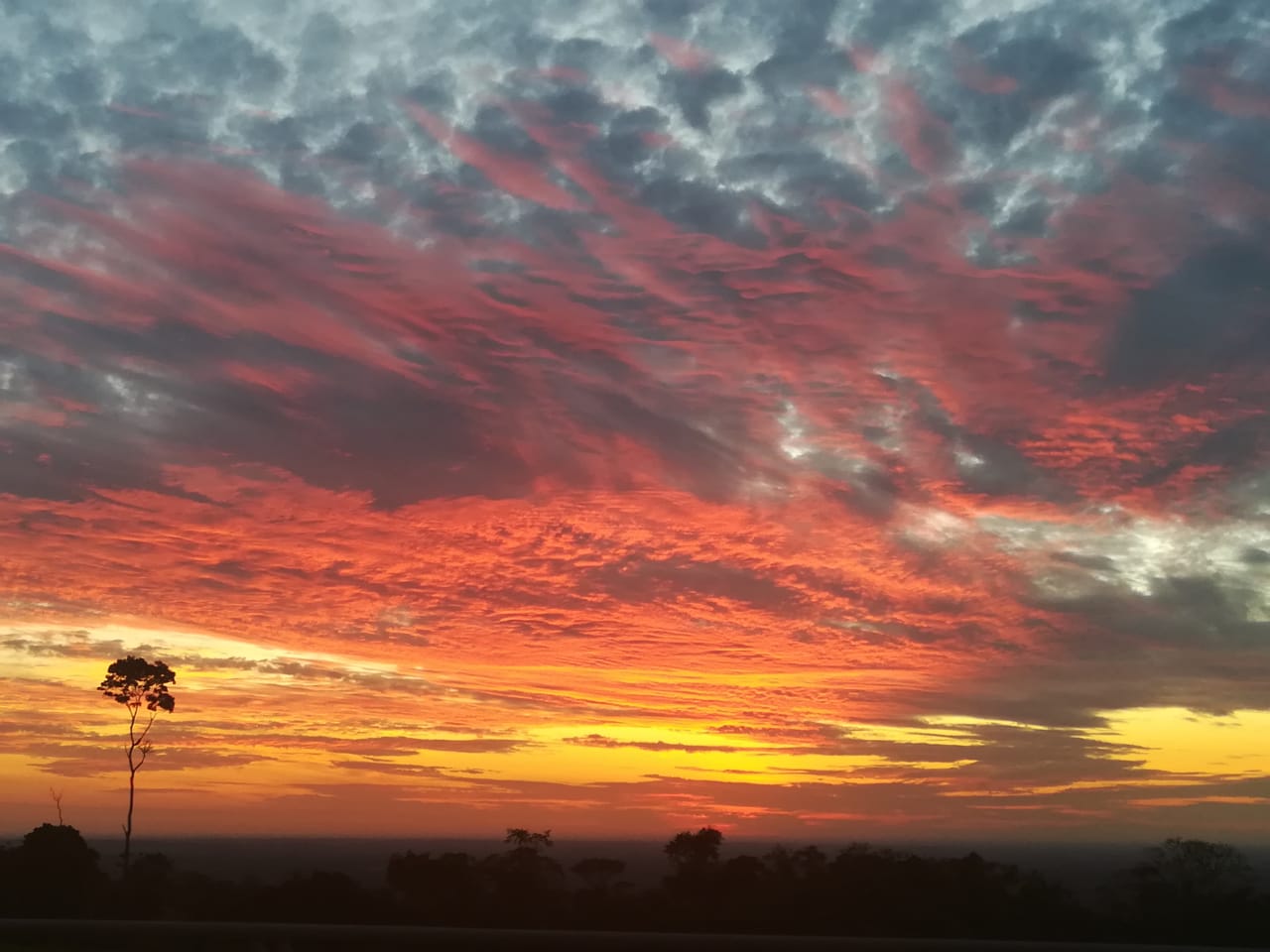 The full life in Colombia Eastern Llanos