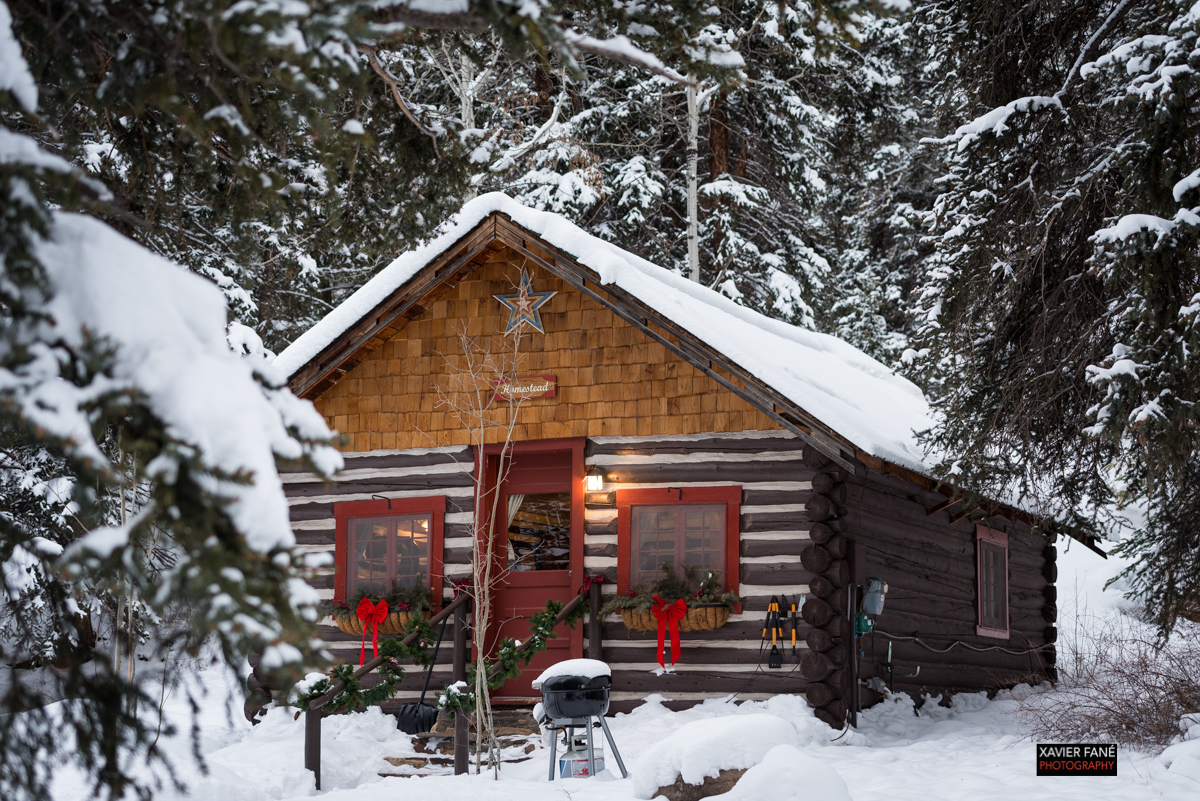 Beautiful Creekside Cabin 4 in Crested Butte Cabins for Rent in