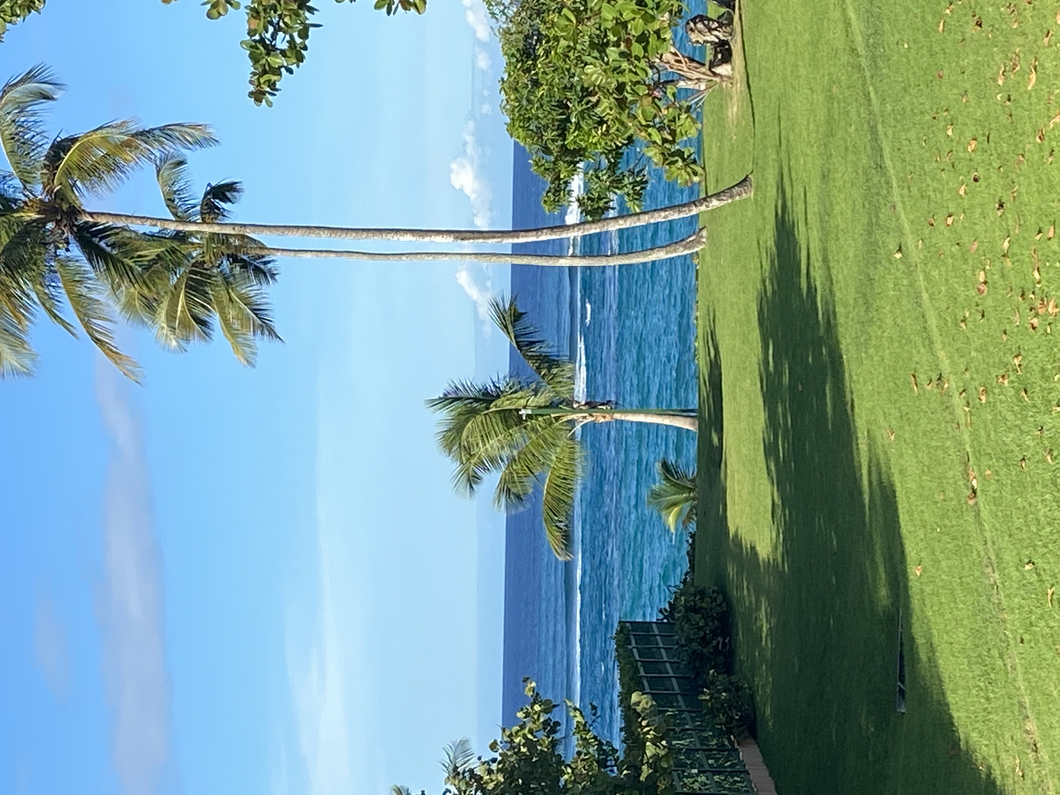 Ocean Breeze Villa at Dorado Reef Houses for Rent in Dorado, Dorado