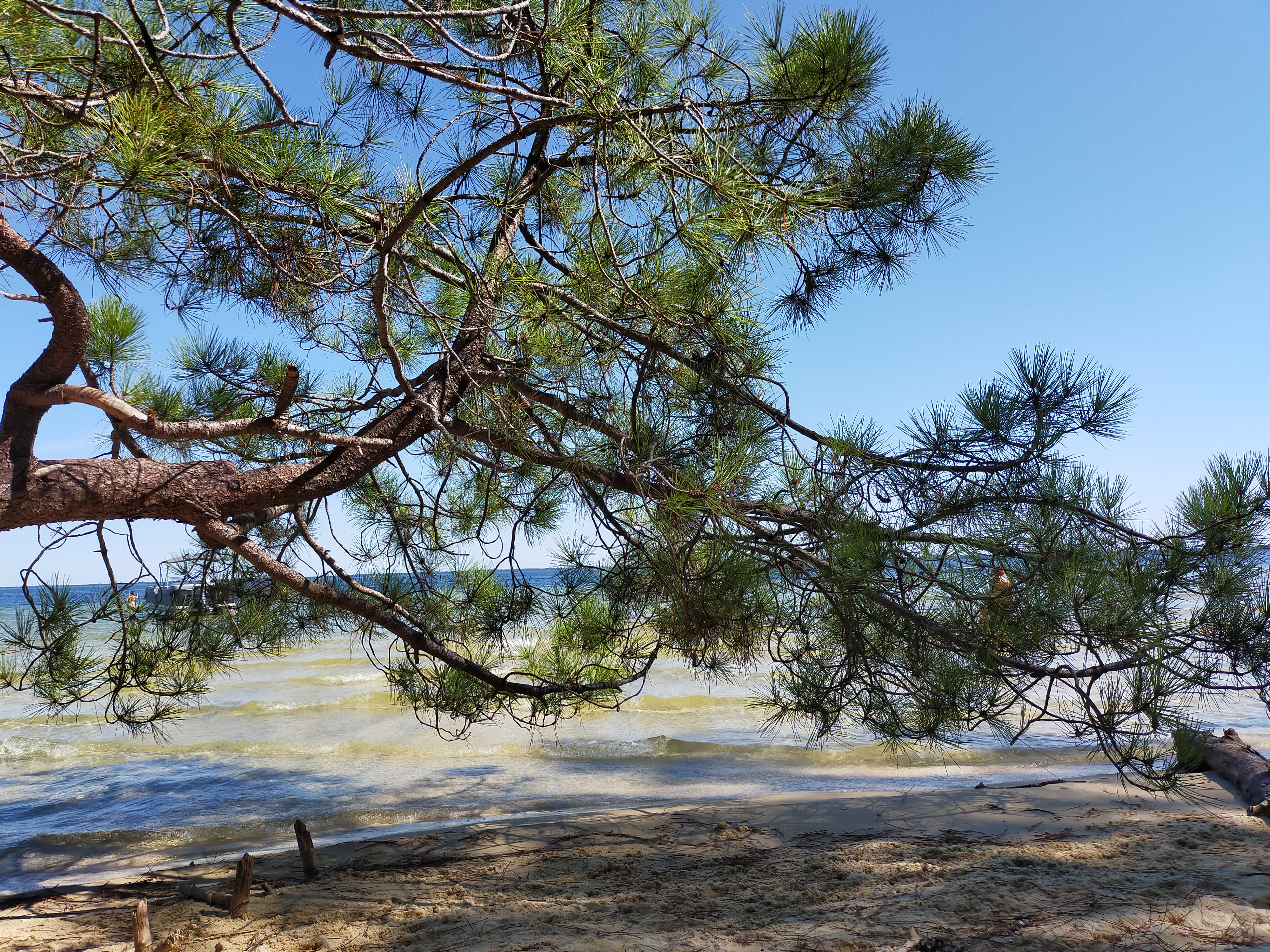 Nature break in the house in Arcachon basin
