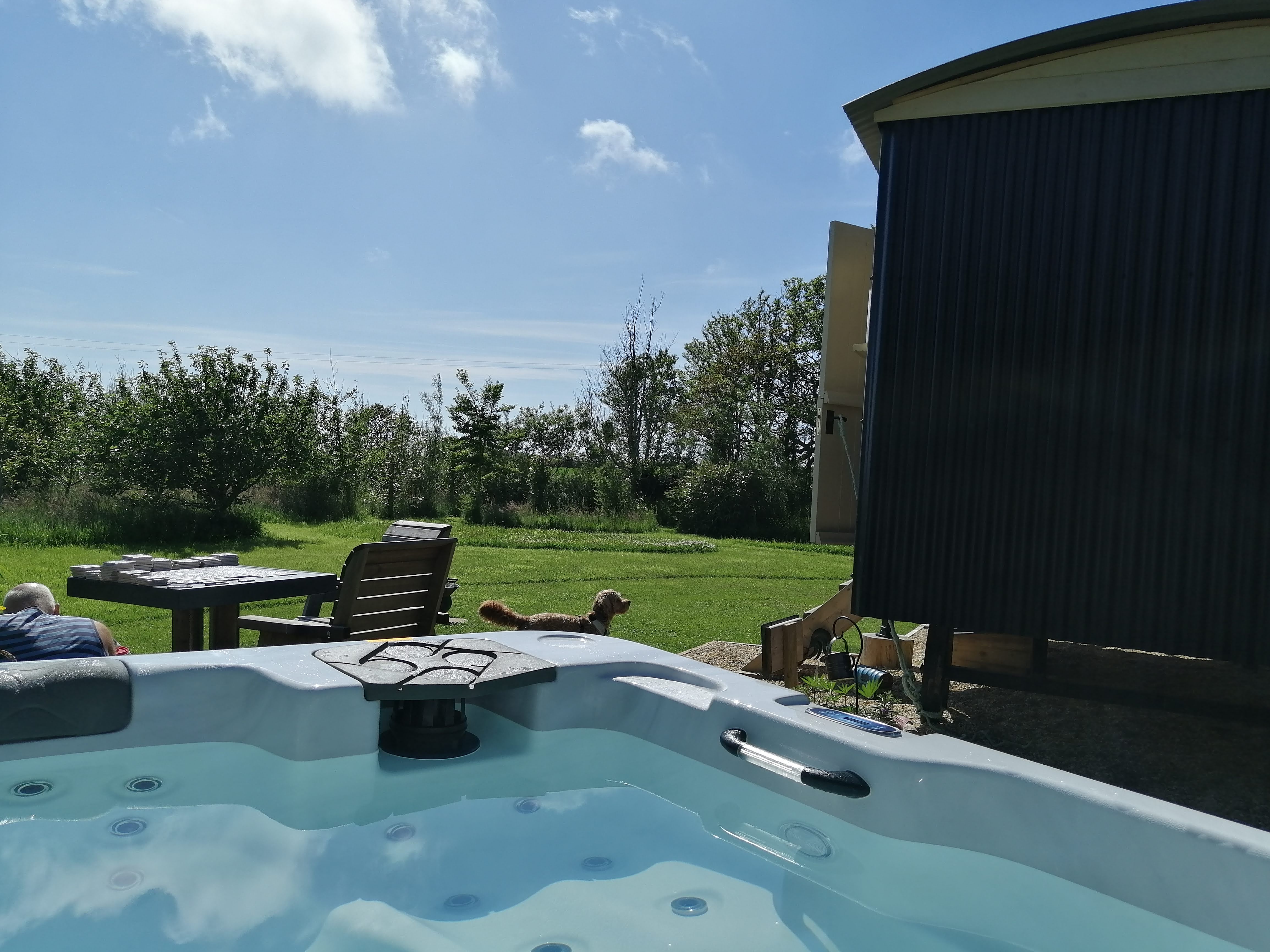 Apple Tree Shepherd's Hut with optional hot tub