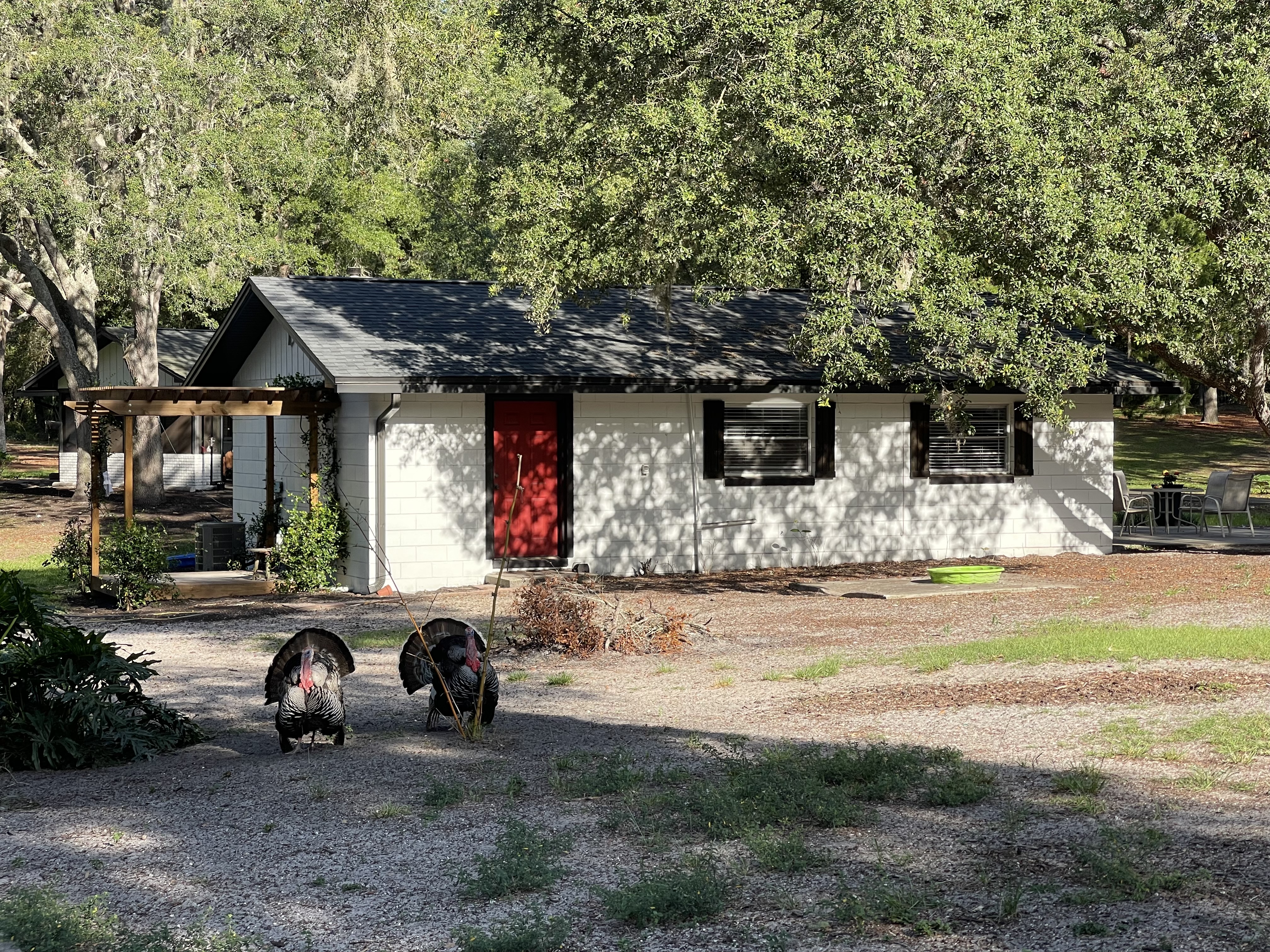 BOHEMIAN COTTAGE nearStetson,BlueSprngs,SkyDive