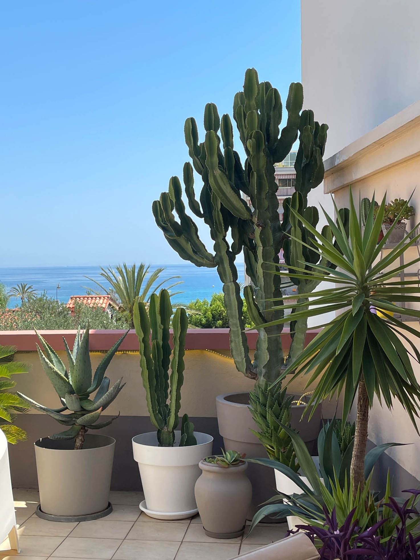 Beautiful apartment with amazing terrace