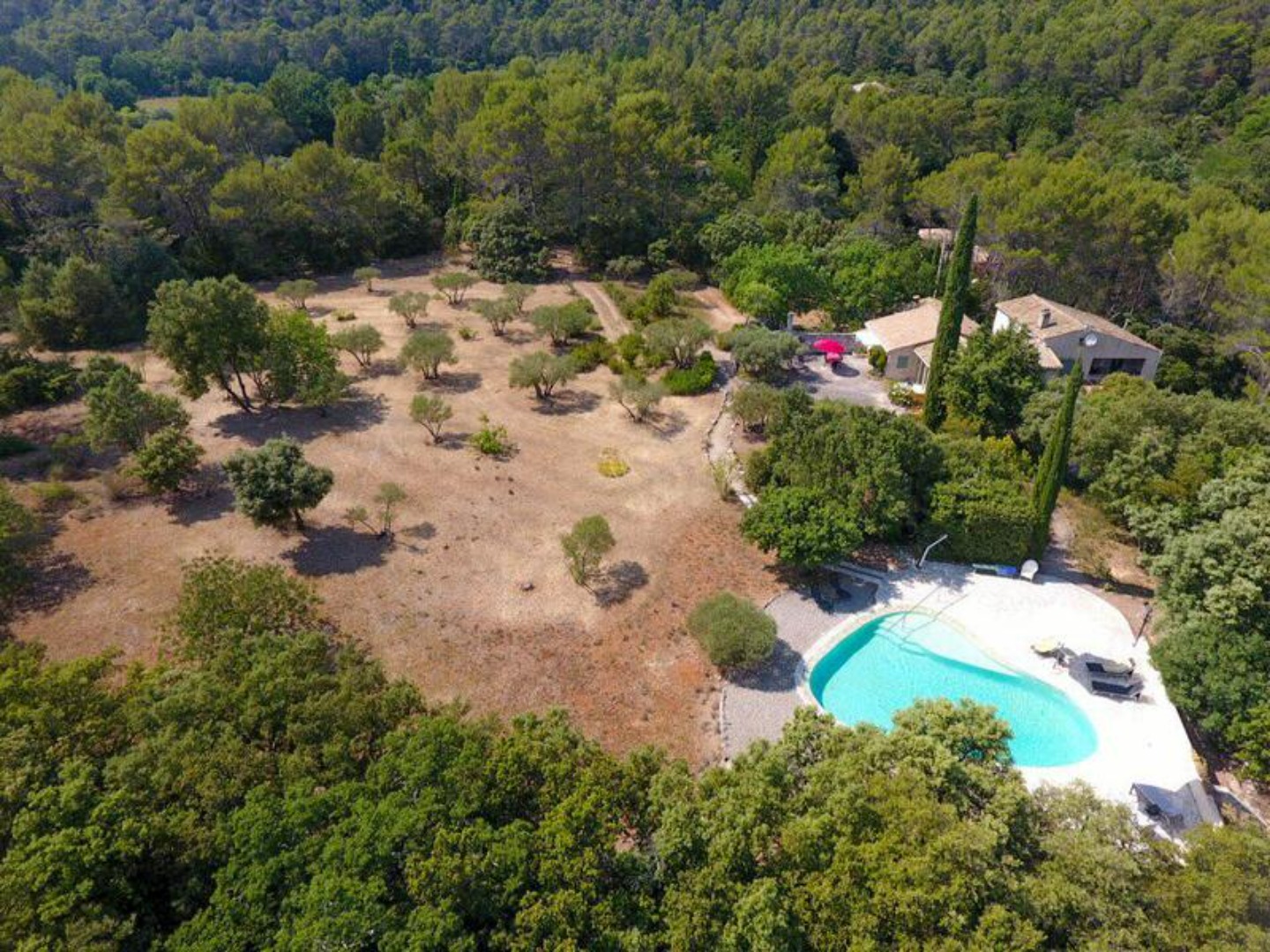 Quiet cottage, between olive trees and swimming pool