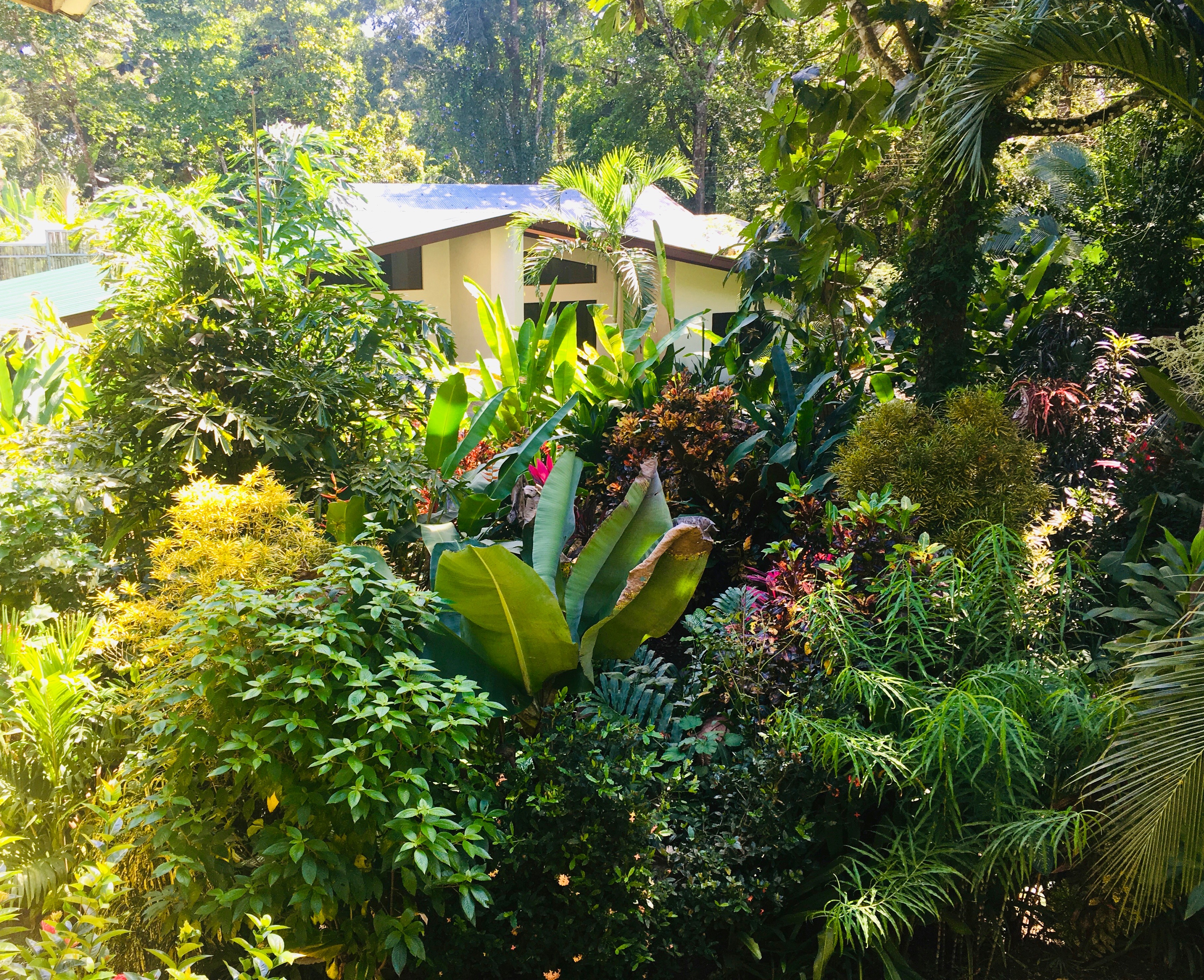 Oasis Osa - Luxury in Nature - Beach Villa