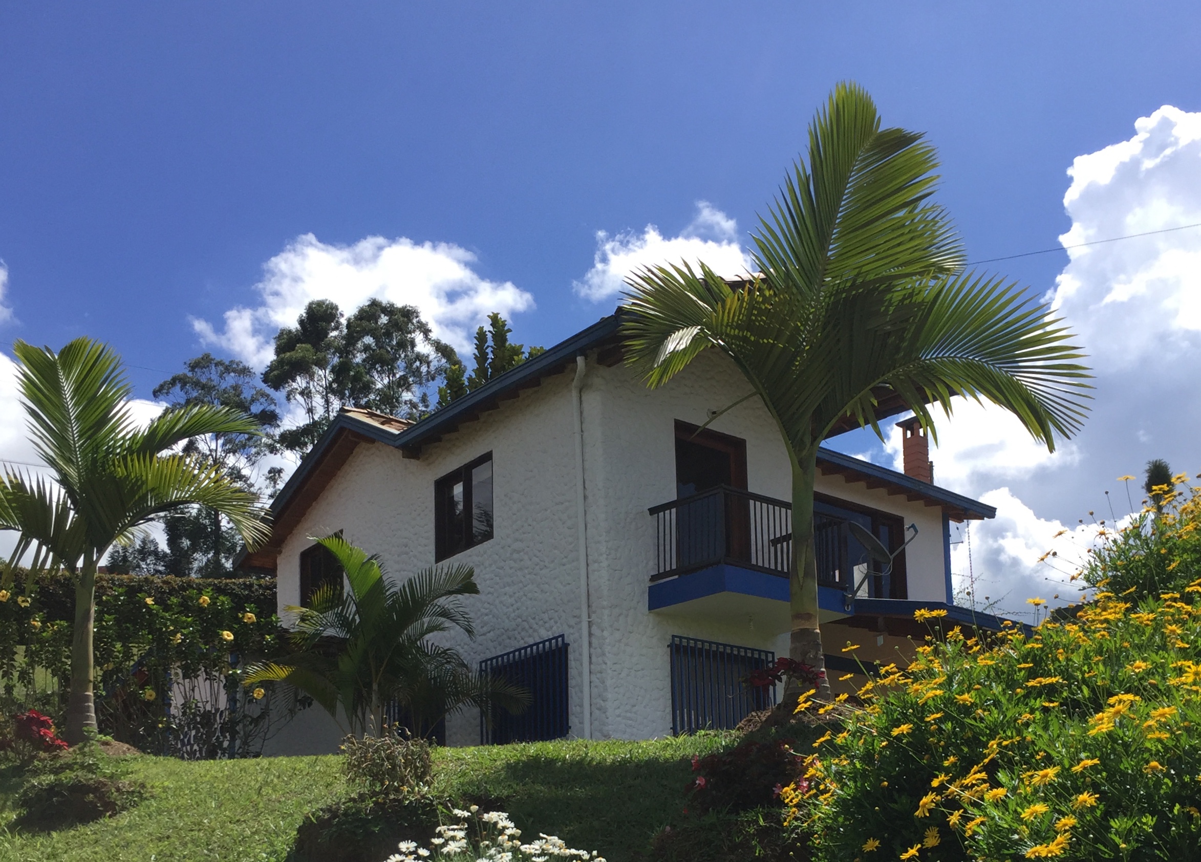 Comfortable home  , Ideal to rest or work
