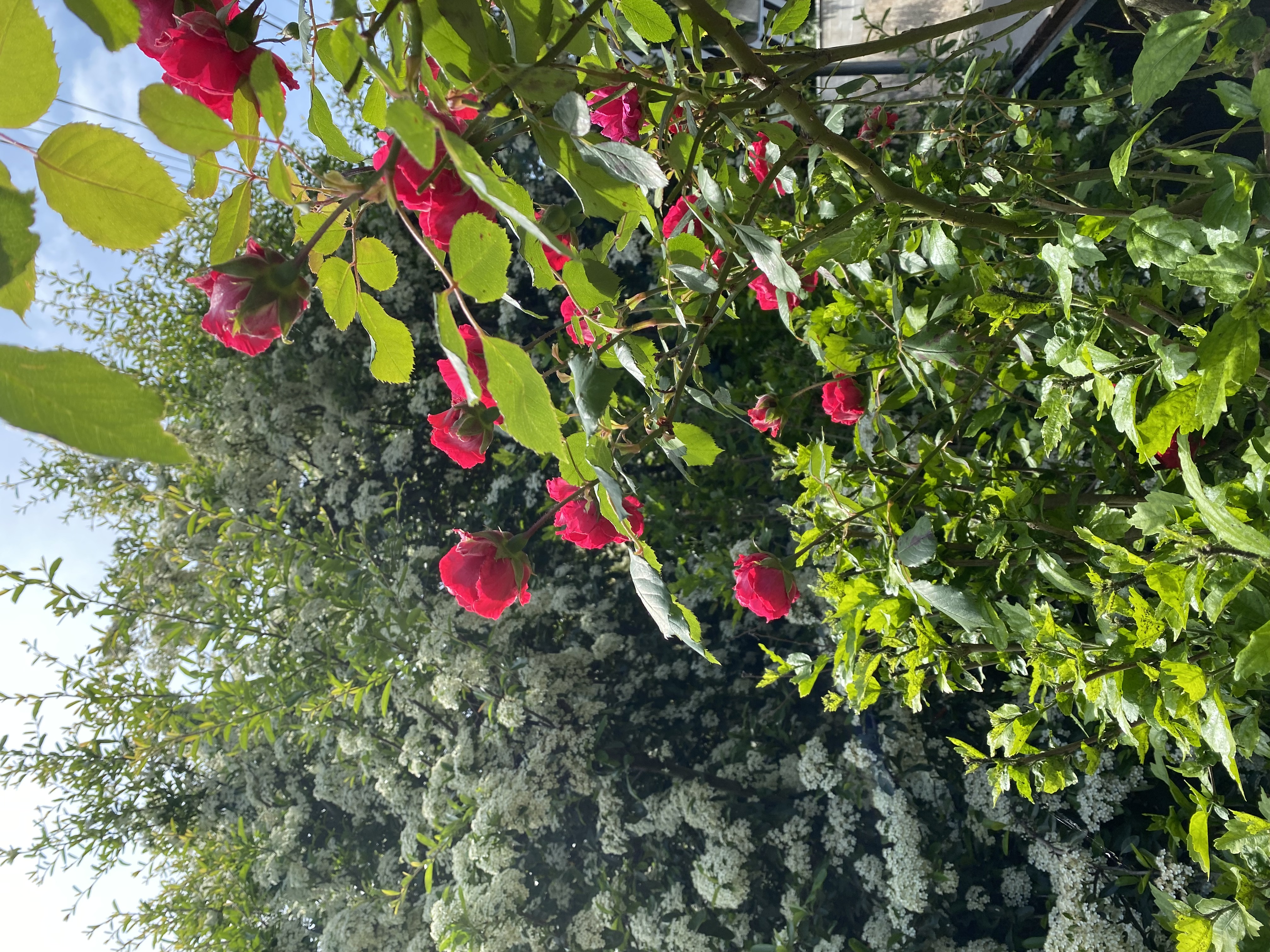 Studio in Ecully, near Lyon 9è