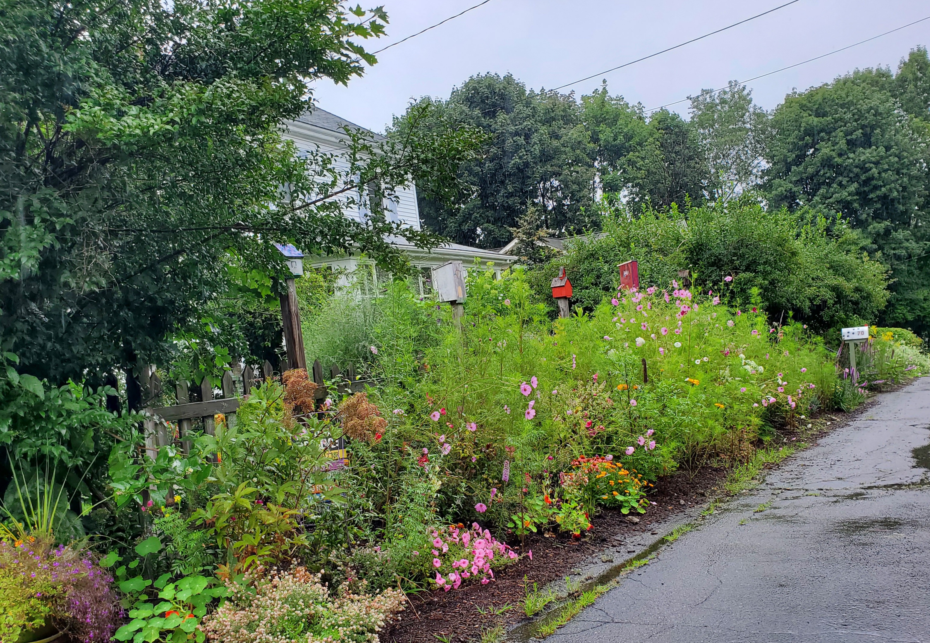 Beautiful, Colorful Seacoast Home