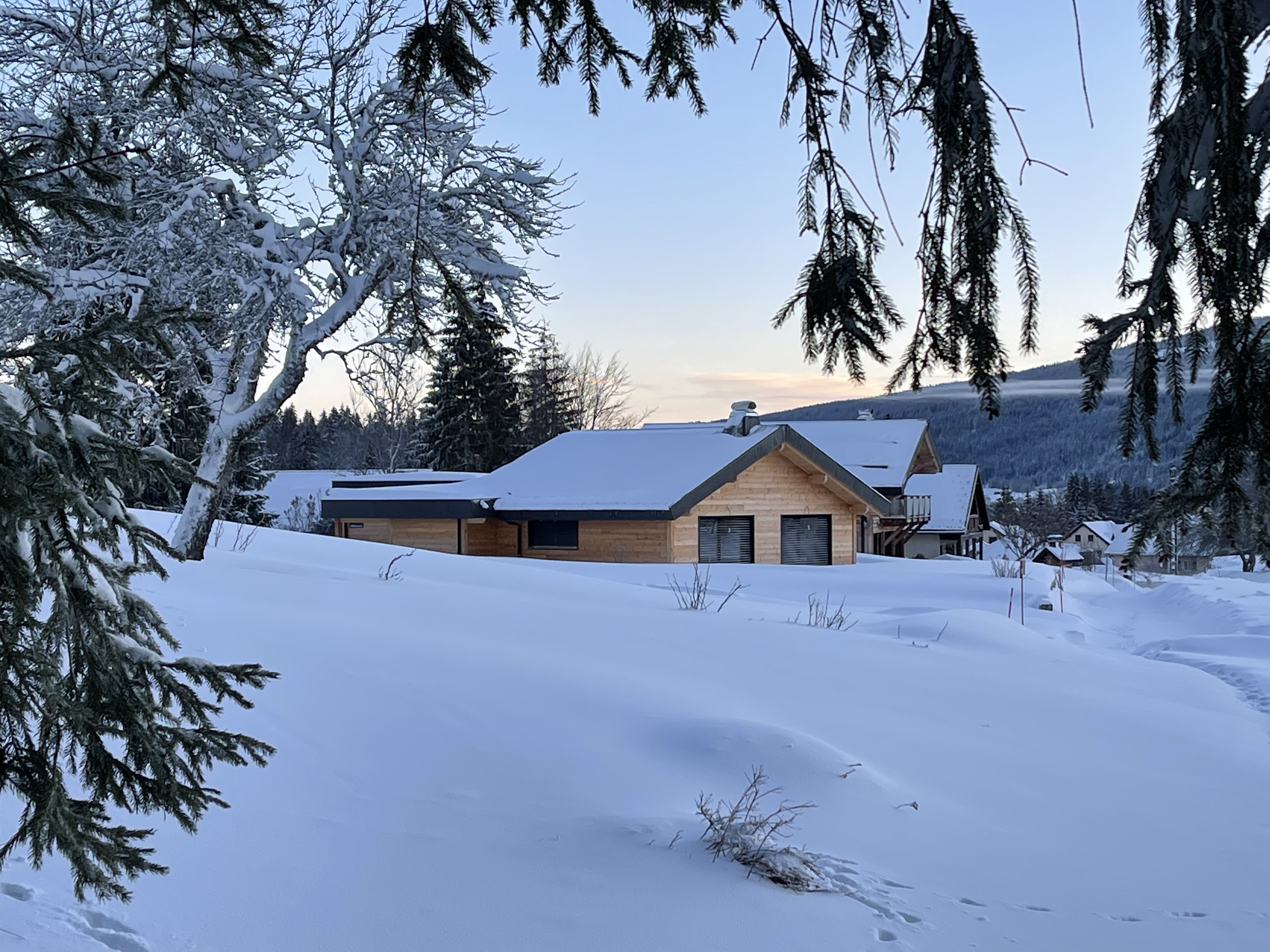 Unique!Chalet Gd Standing,nature to overlook