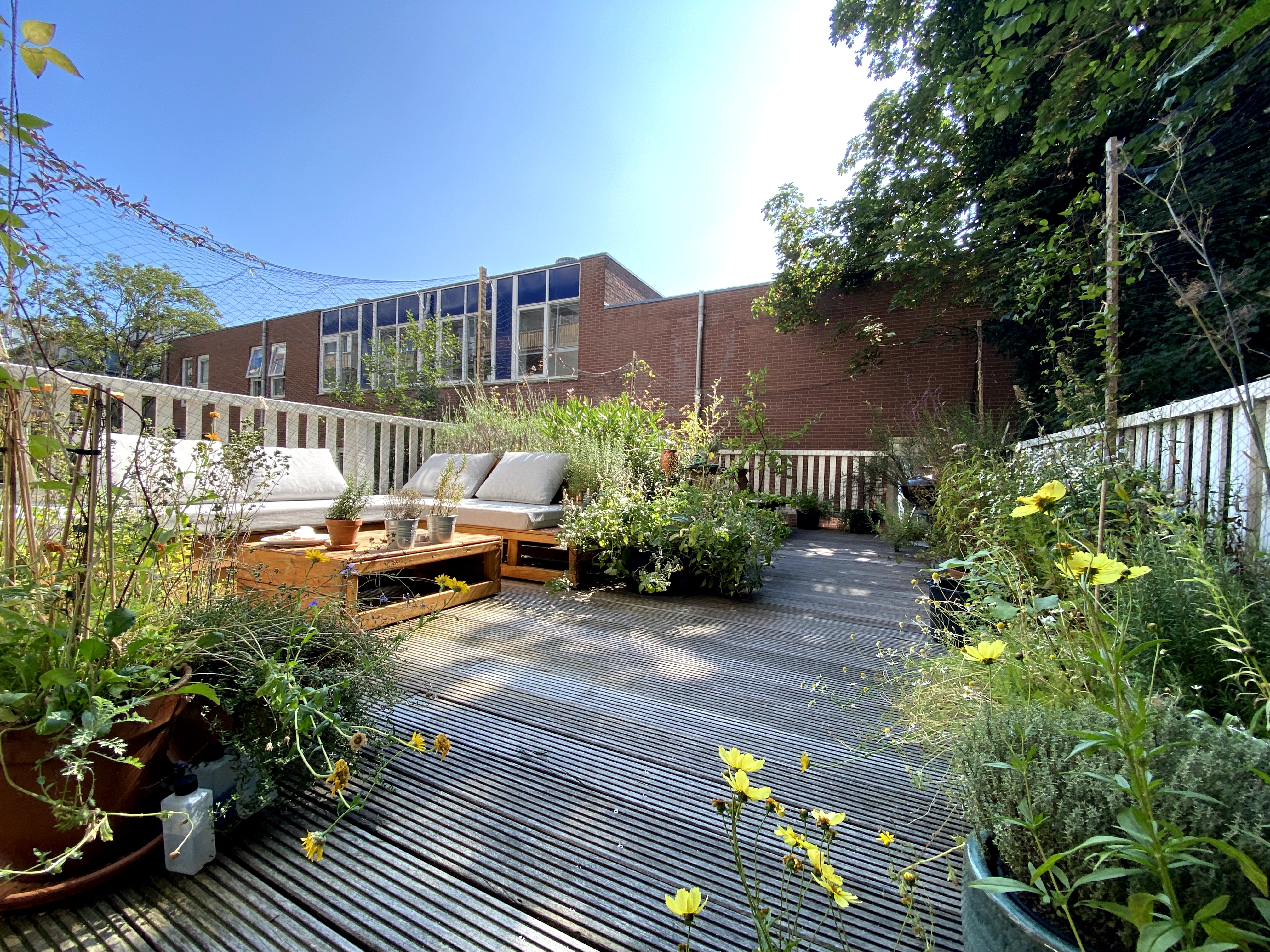 Cozy apartment with big sunny terrace in Ams' East — Amsterdam stay