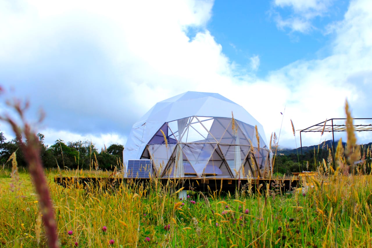 Camping type Dome surrounded by nature