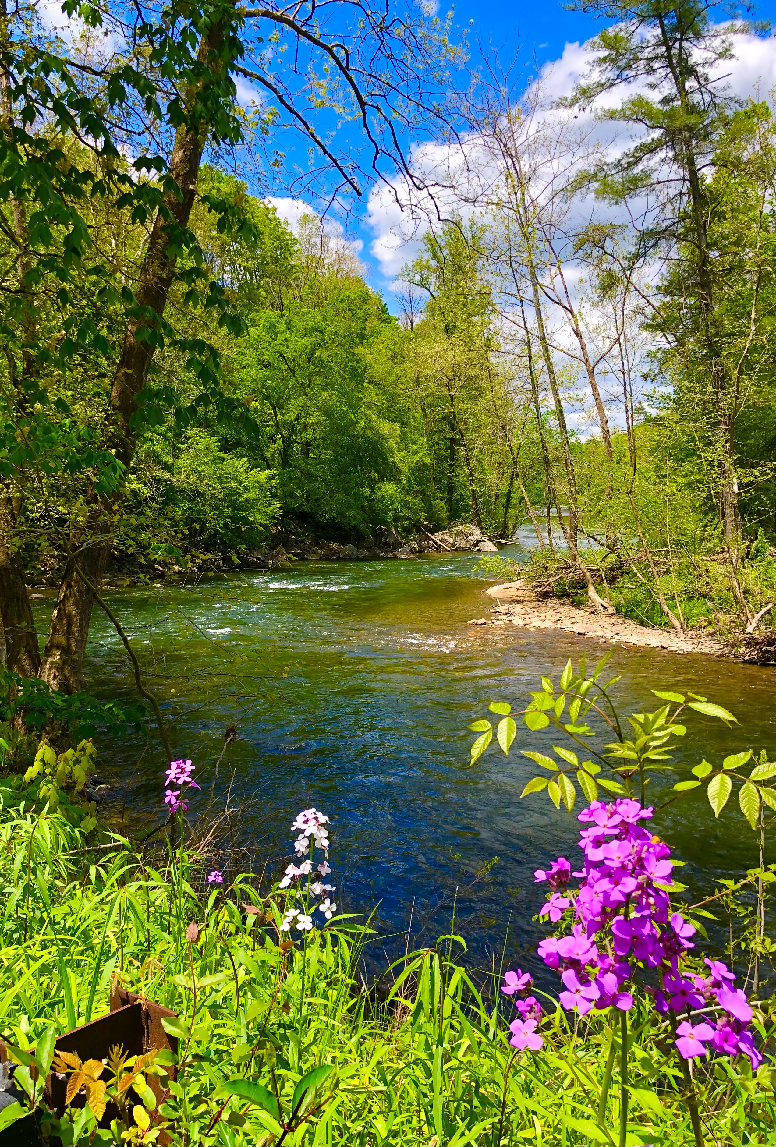 Heartwood Farm Cottage on the River and VA Creeper