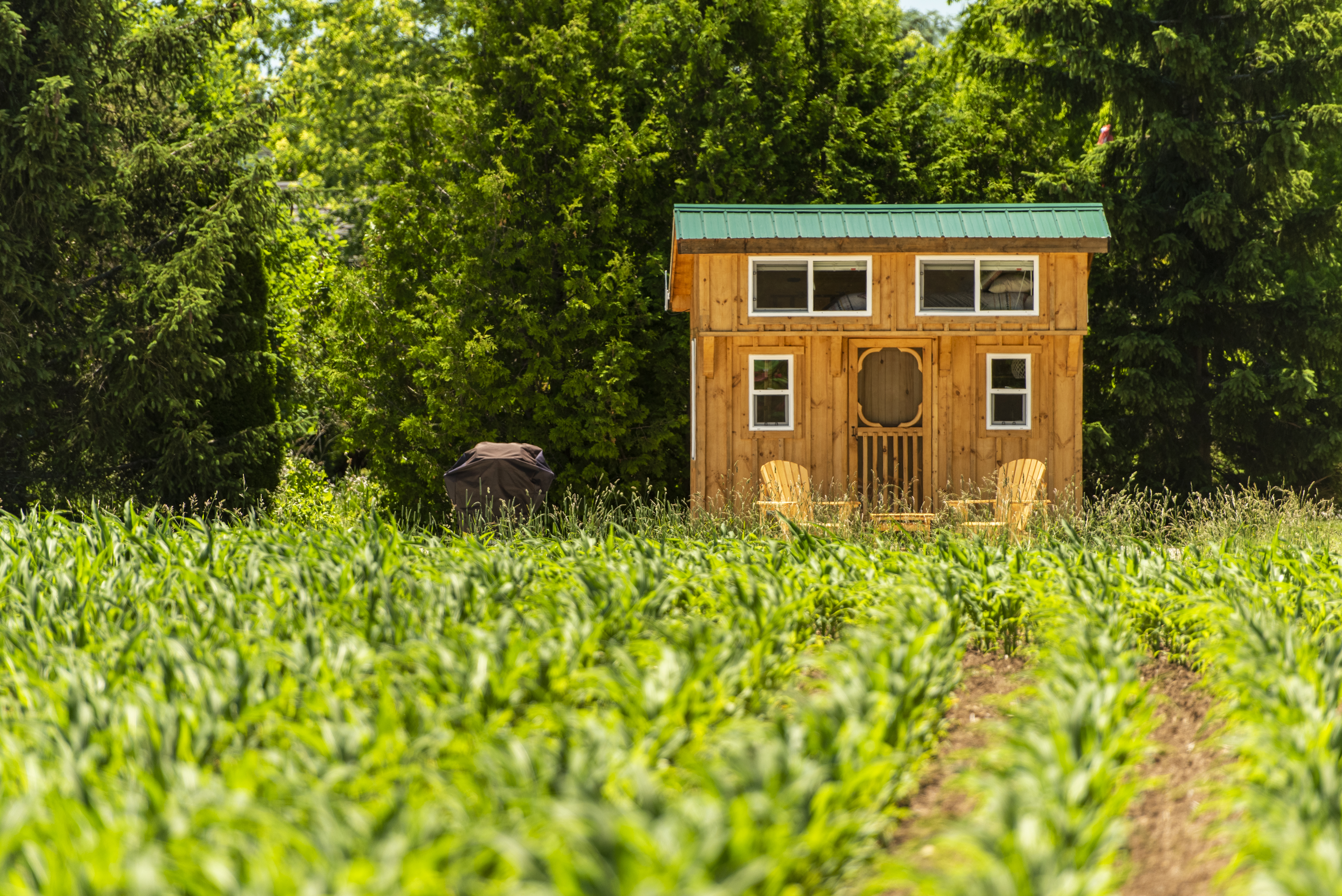 Boho Beaver Cabin 1 with Salt Water Hot Tub